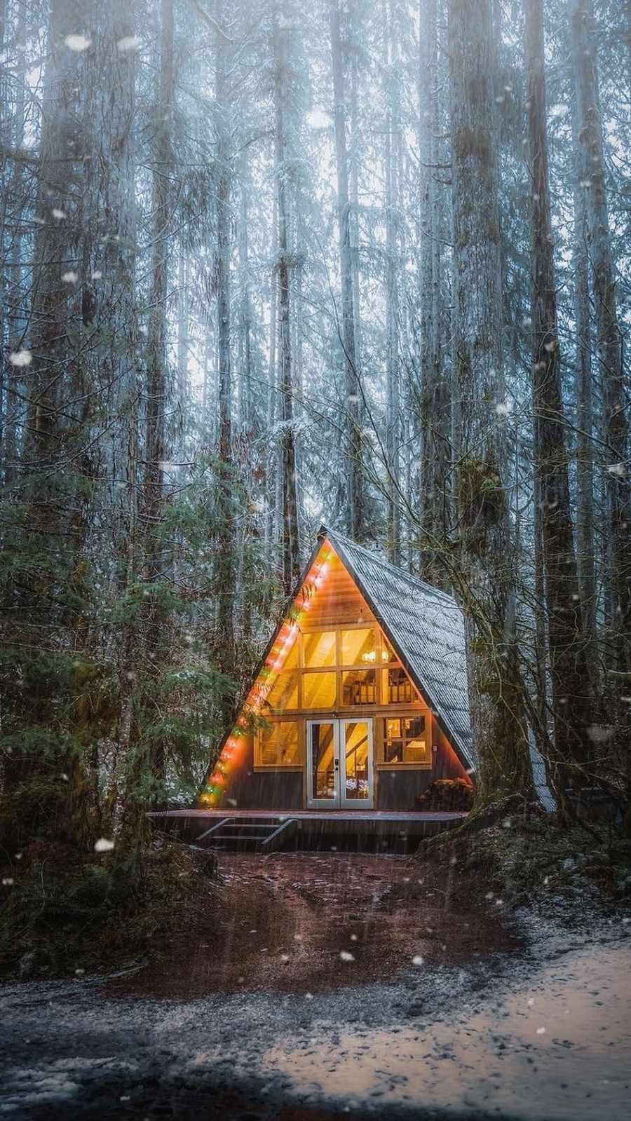 House In The Woods Wallpapers