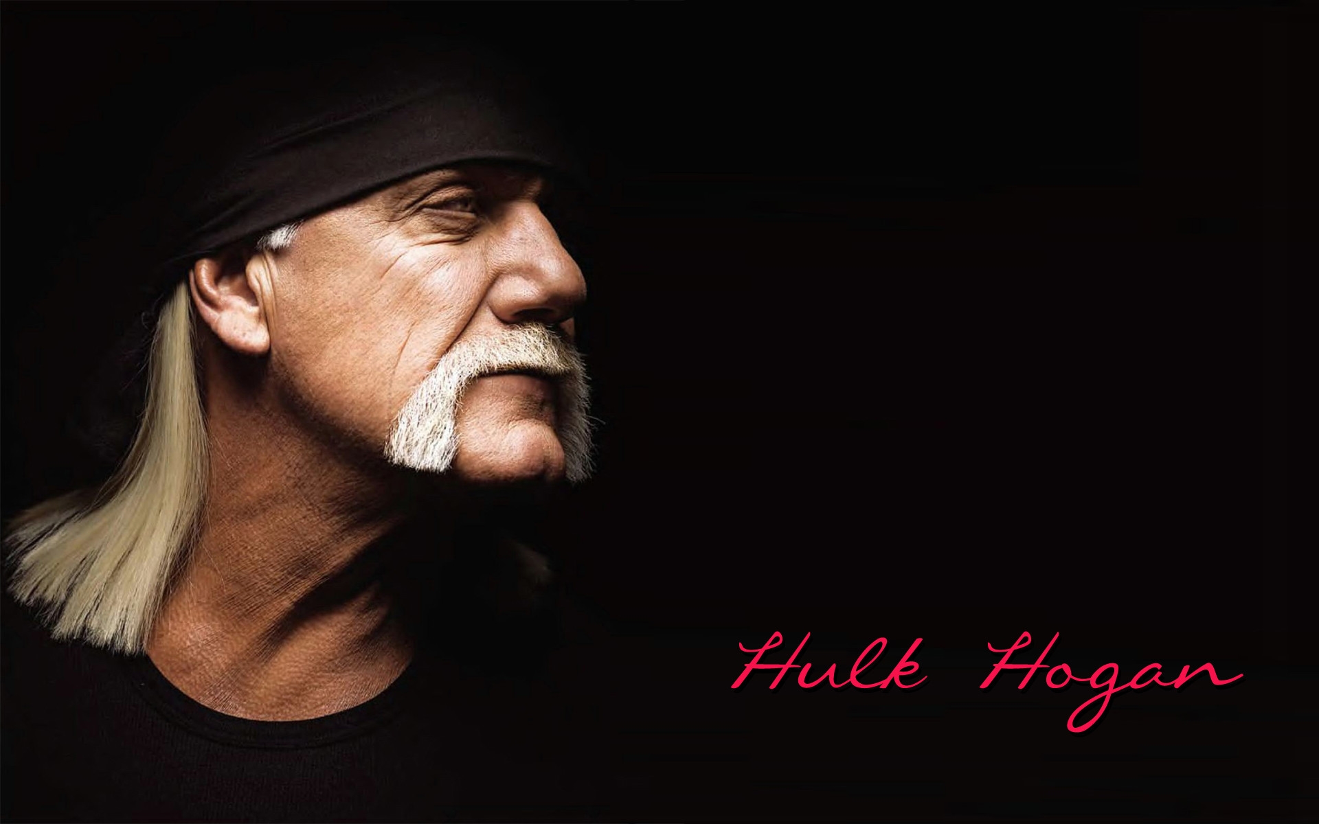 Hulk Hogan Wall Paper Wallpapers