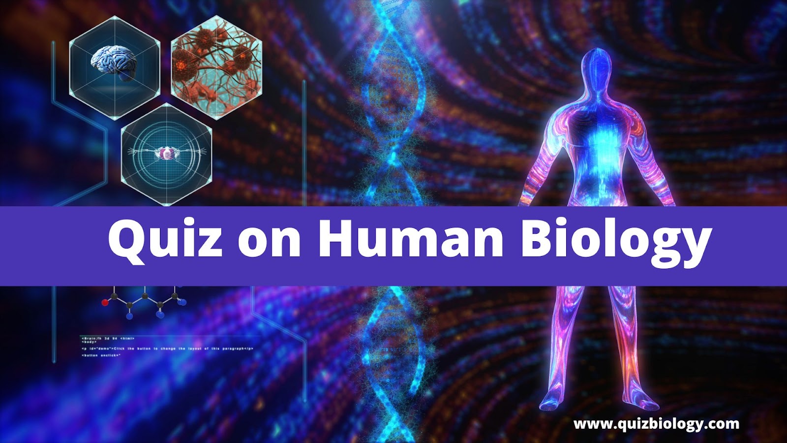 Human Biology Pictures Wallpapers