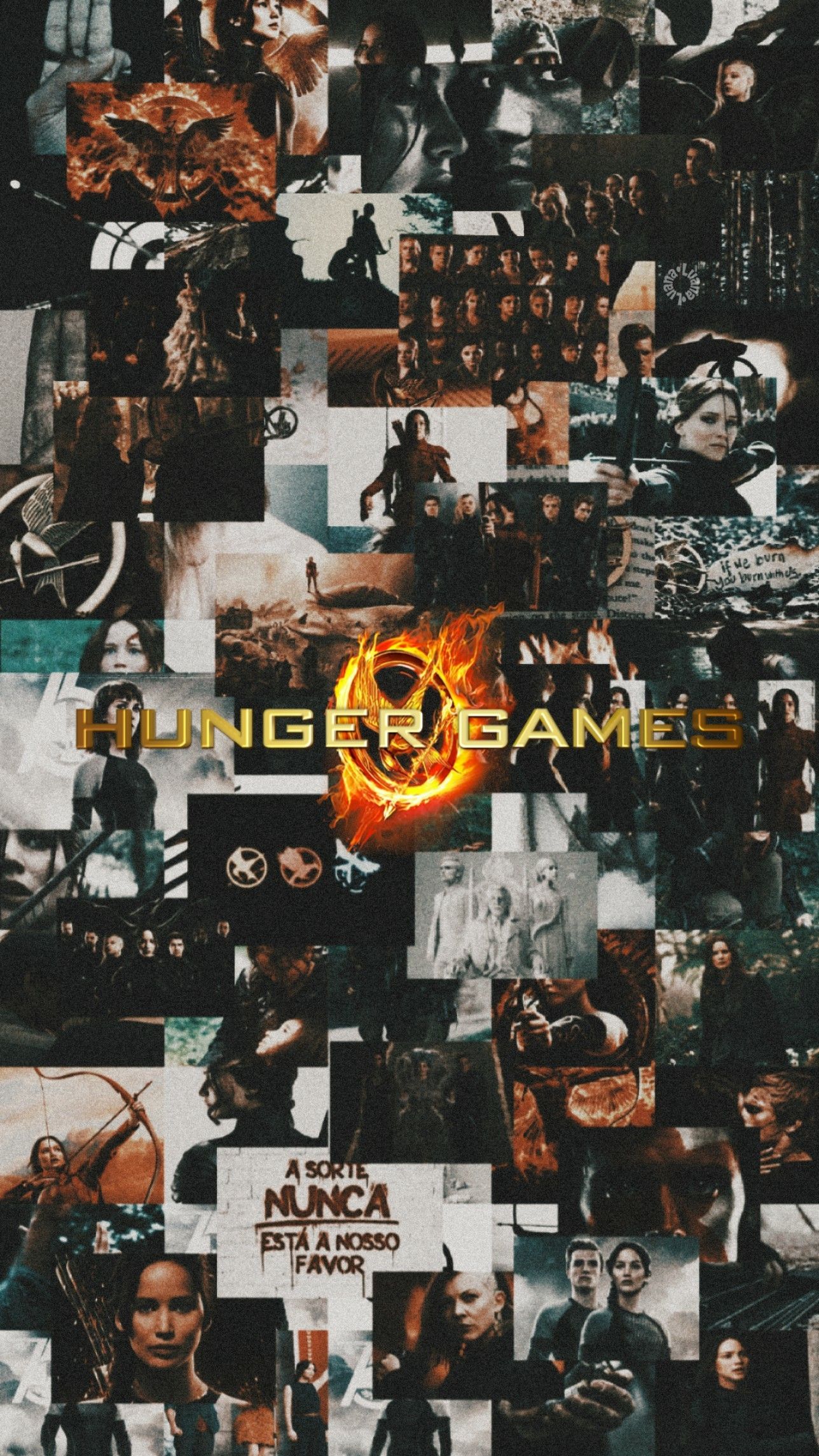 Hunger Games Wallpapers