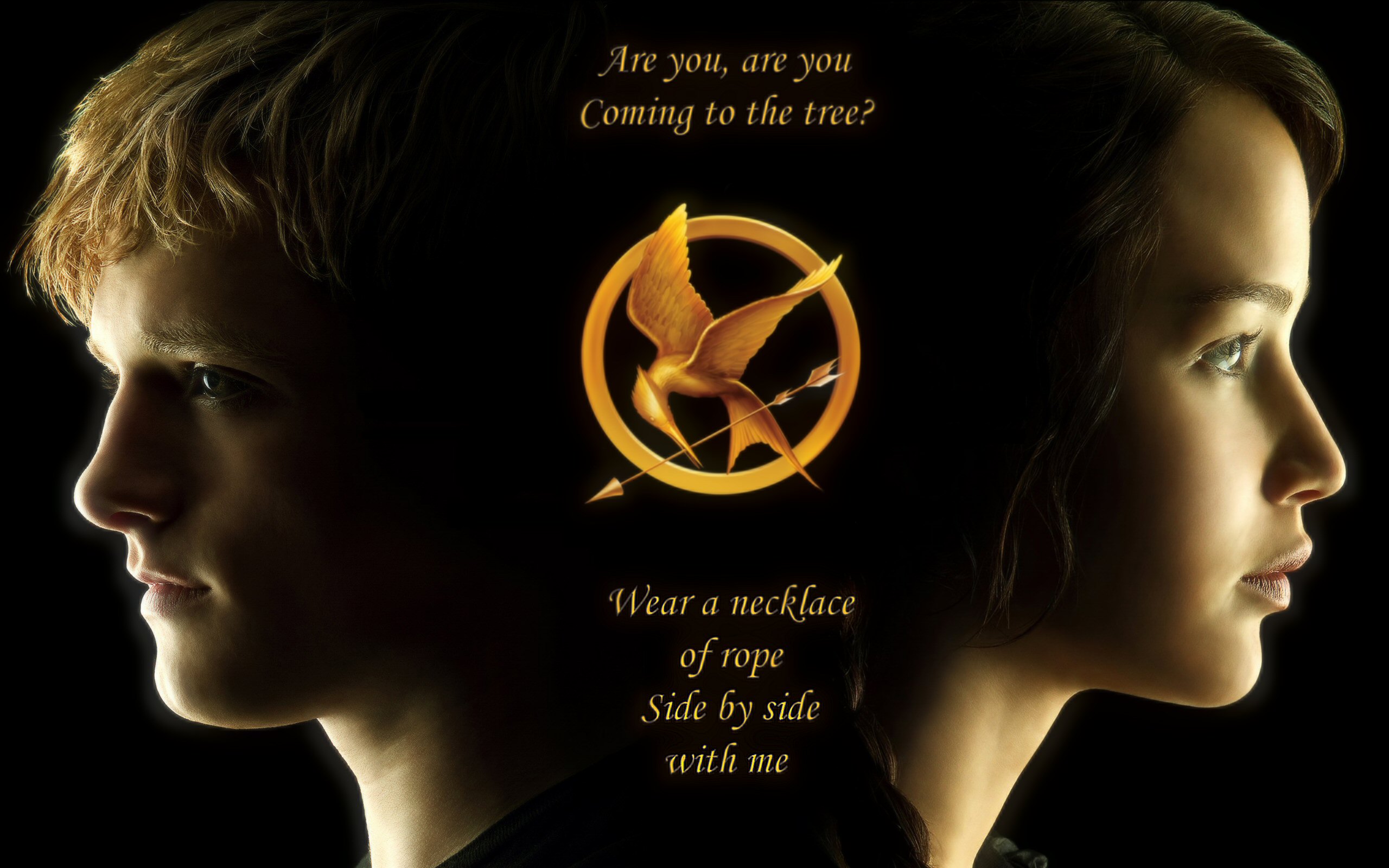 Hunger Games Wallpapers