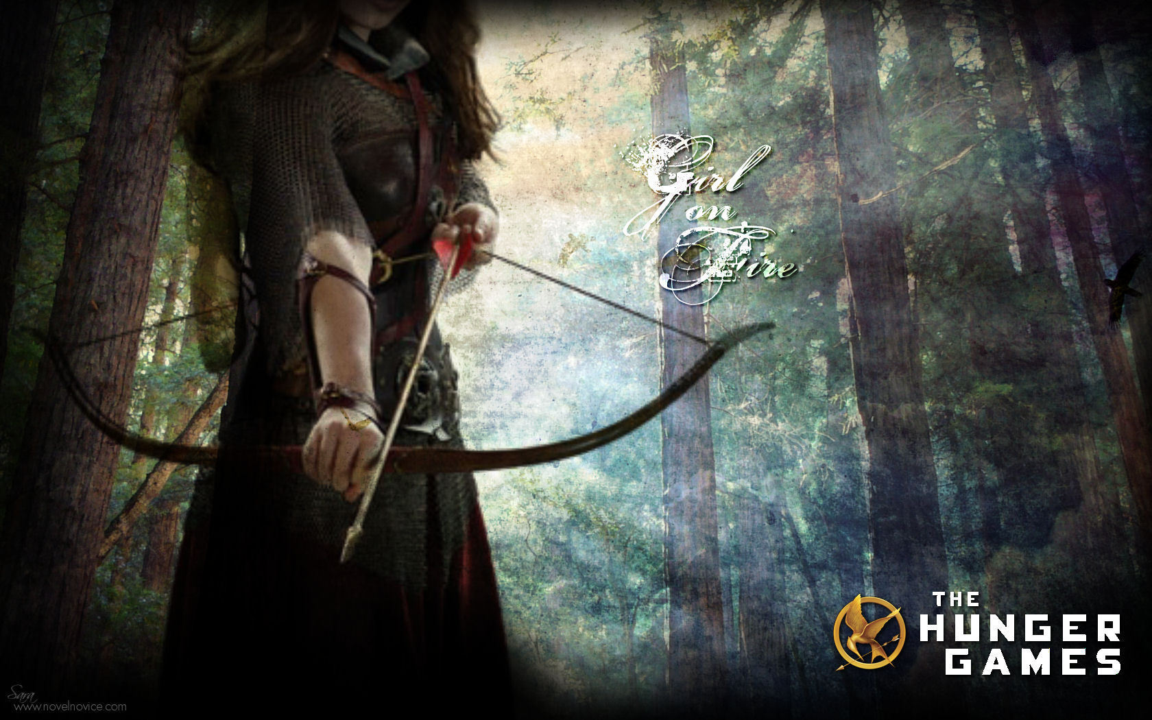 Hunger Games Wallpapers