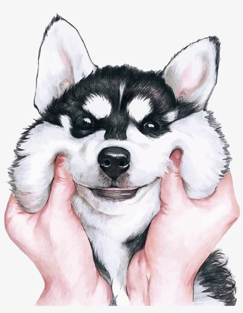 Husky Cartoon Wallpapers