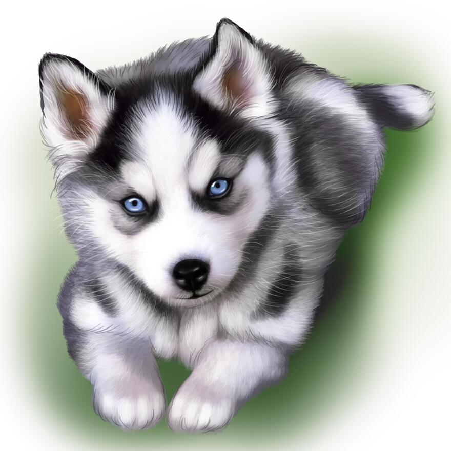 Husky Cartoon Wallpapers