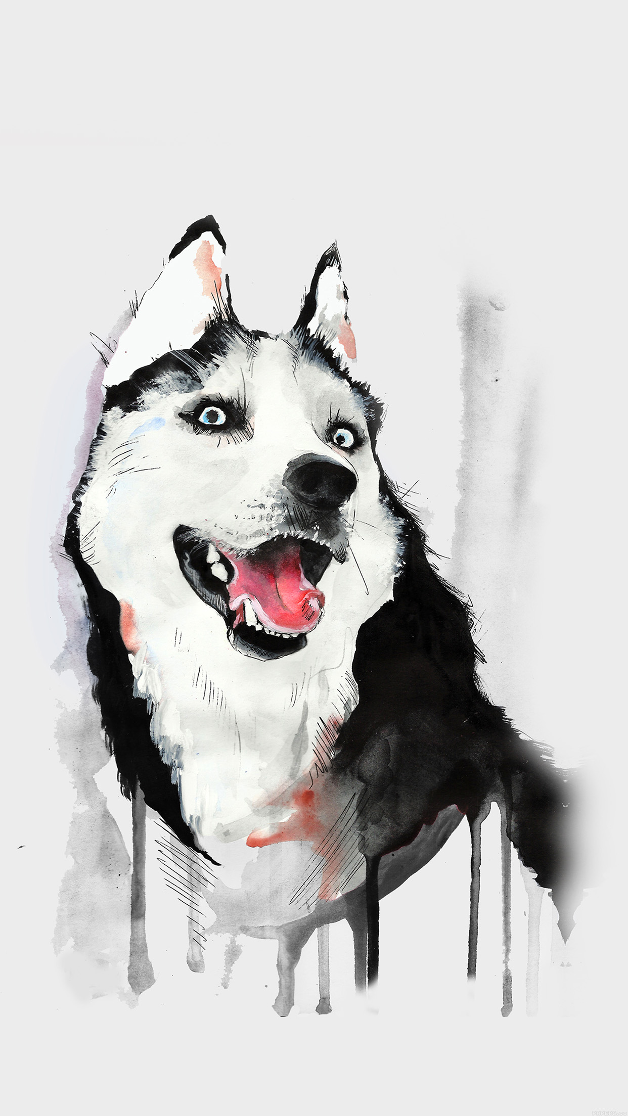 Husky Cartoon Wallpapers