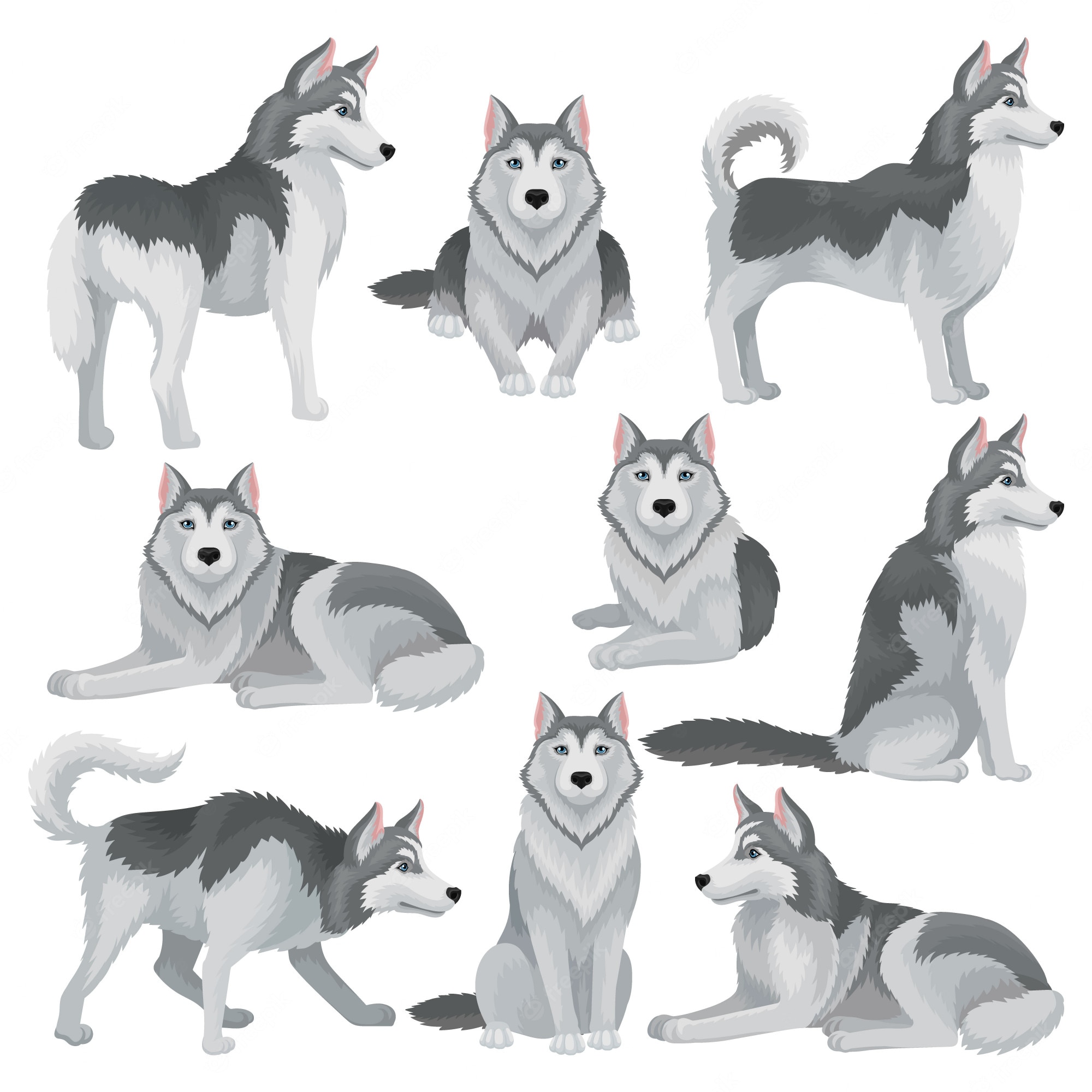 Husky Cartoon Wallpapers