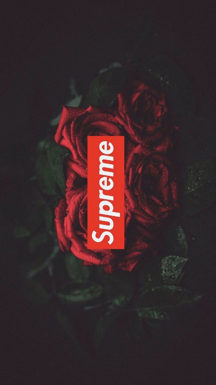 Hypebeast Rose Wallpapers