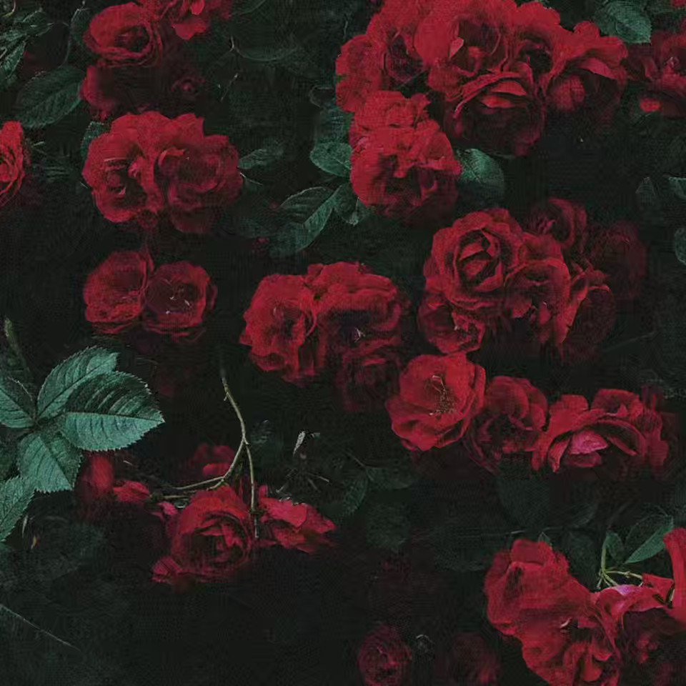 Hypebeast Rose Wallpapers