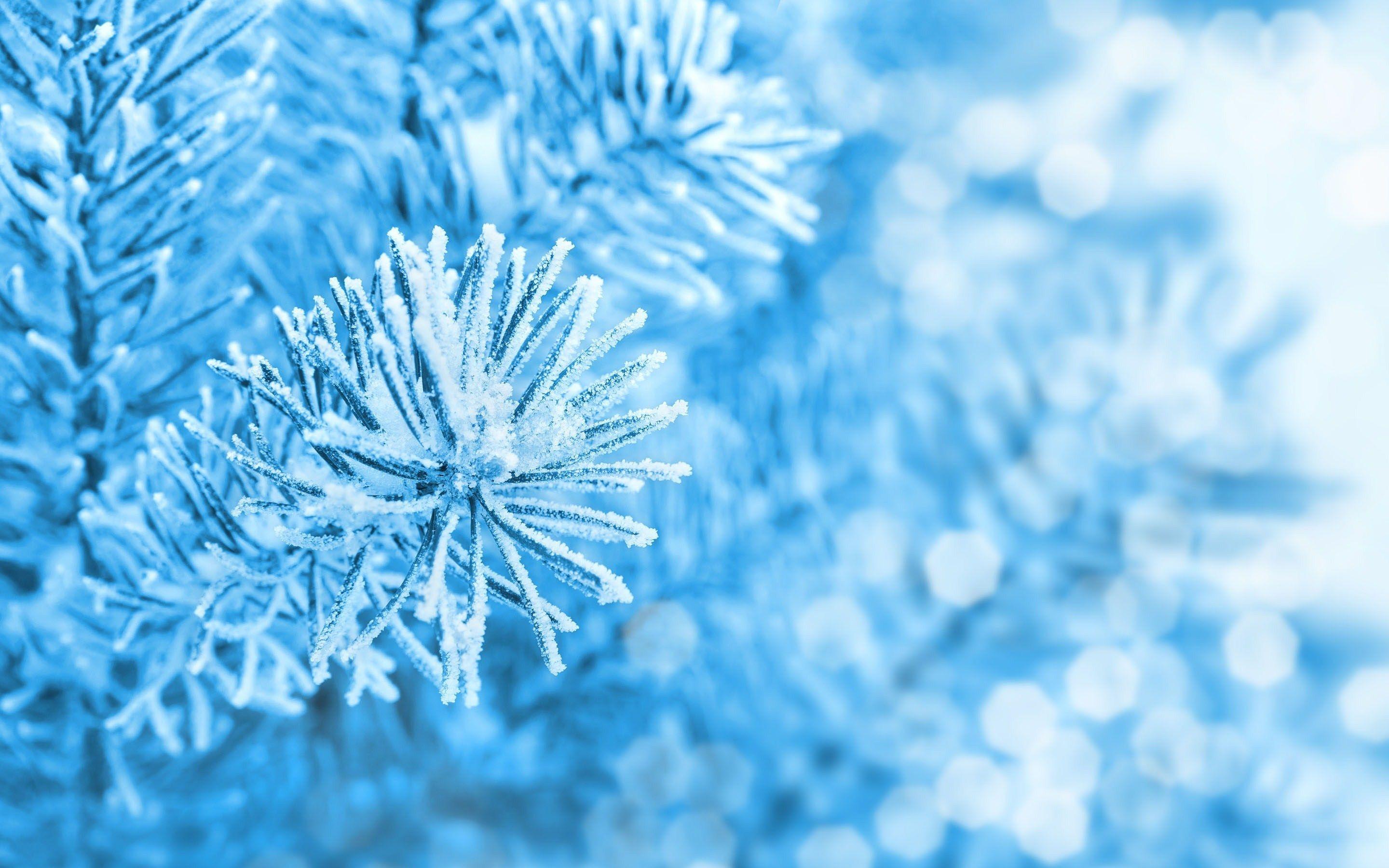 Ice Aesthetic Wallpapers