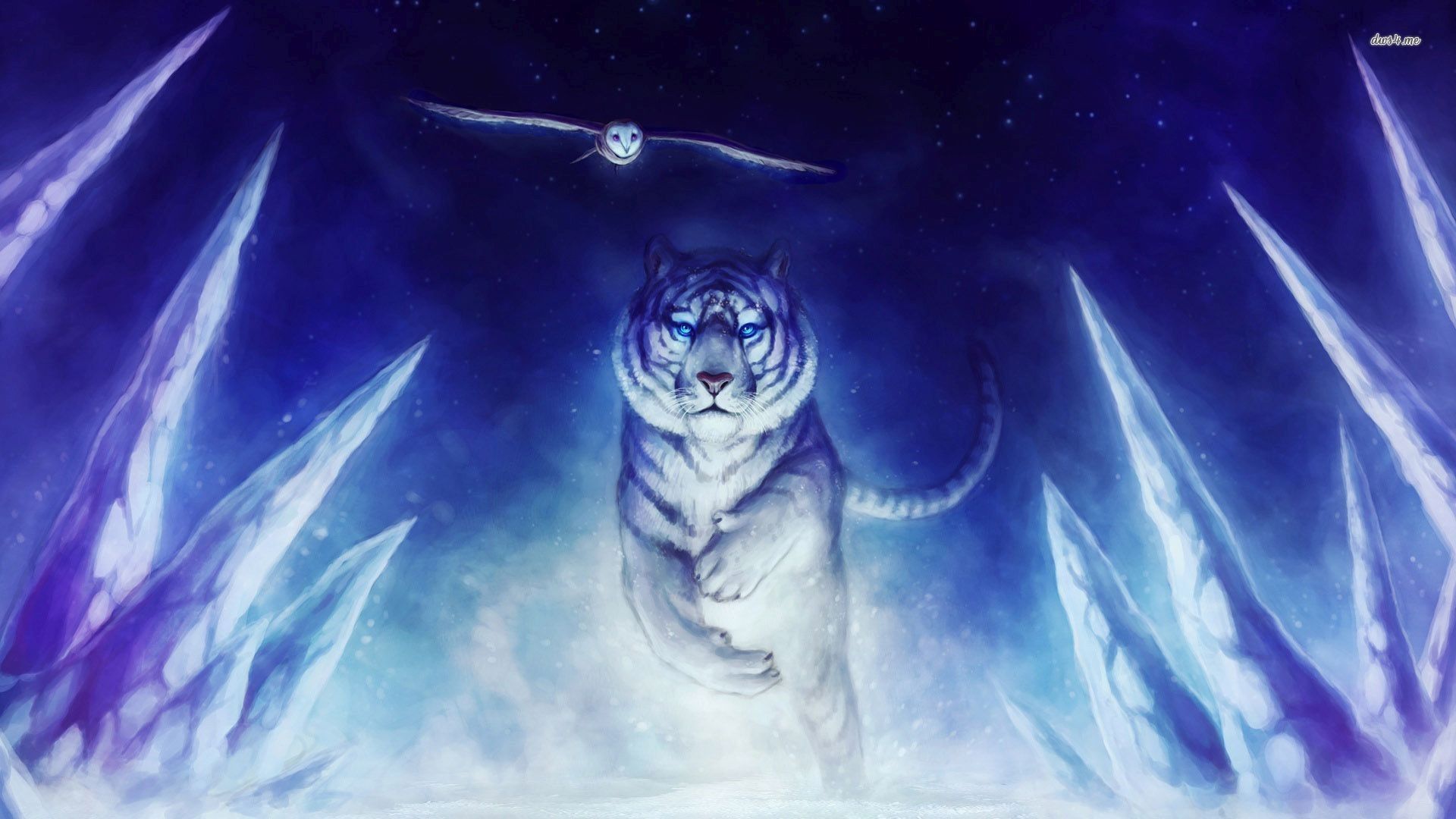 Ice Tiger Wallpapers