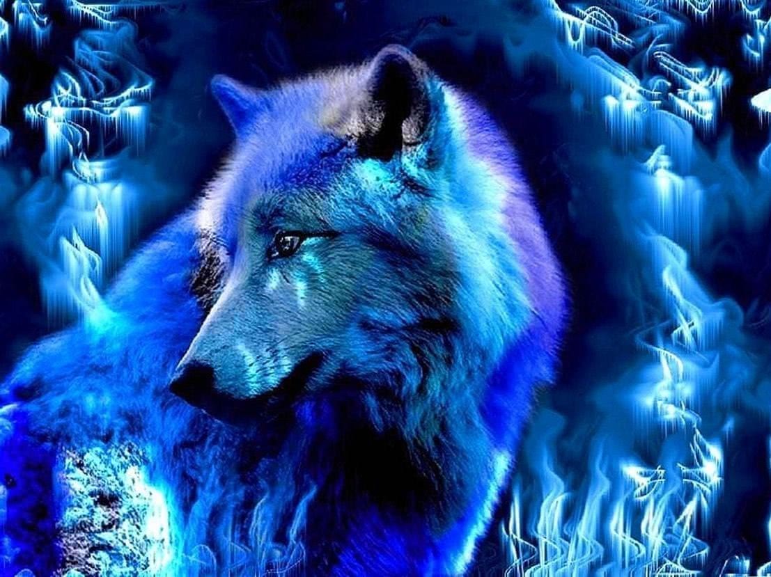 Ice Wolf Wallpapers