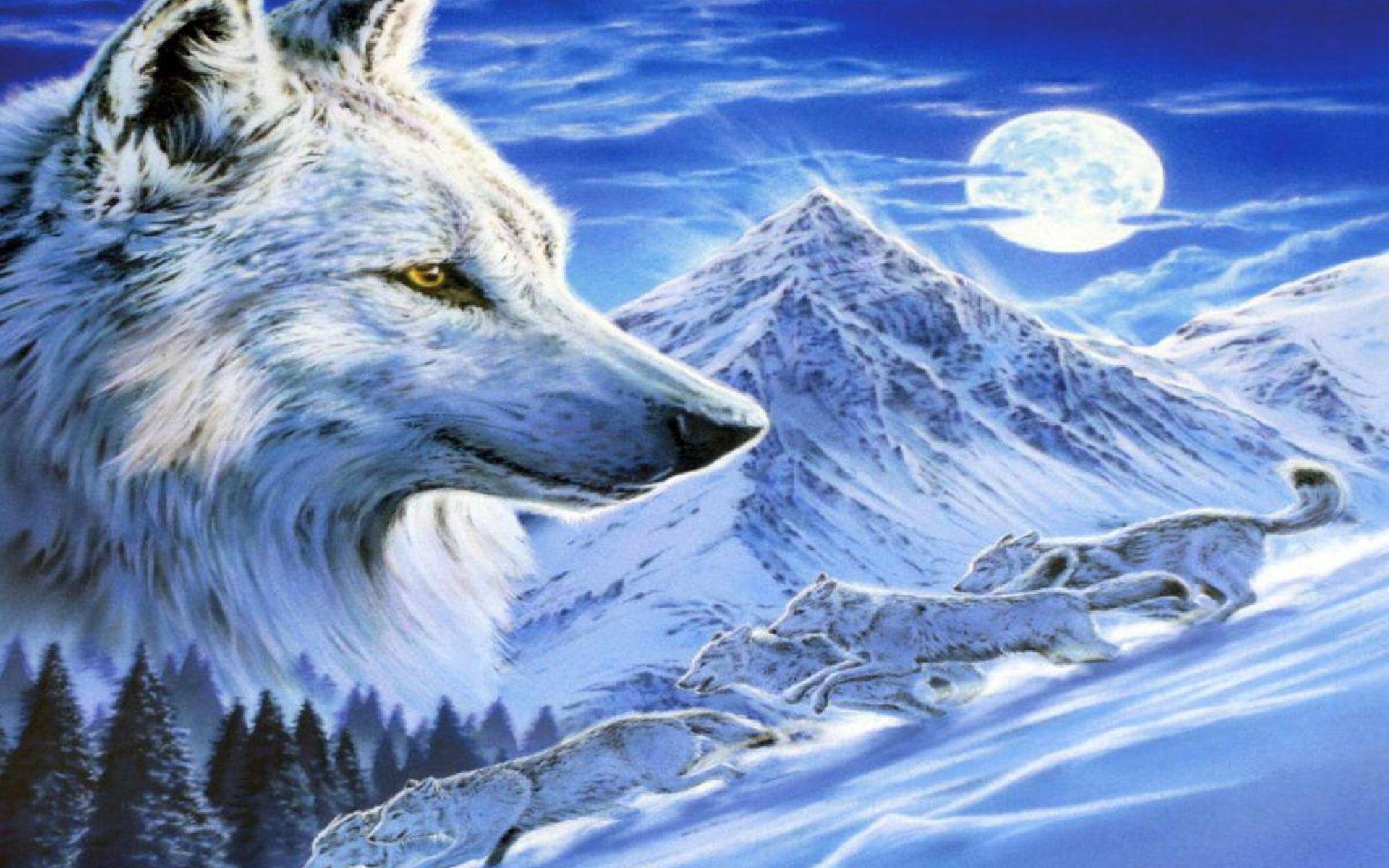 Ice Wolf Wallpapers