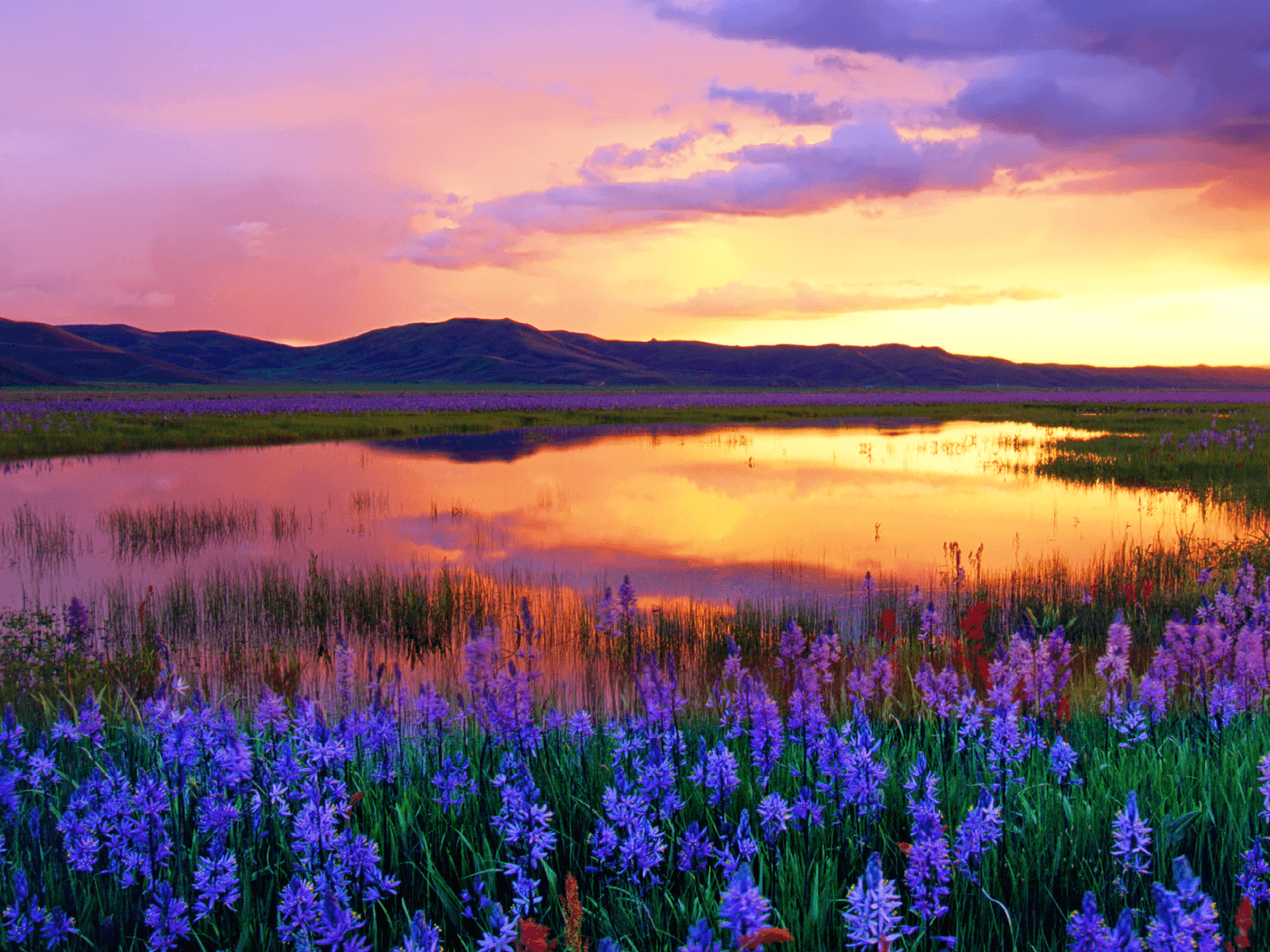 Idaho Scenery Wallpapers