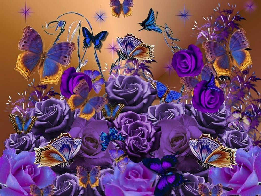 Images Of Purple Roses And Butterflies Wallpapers