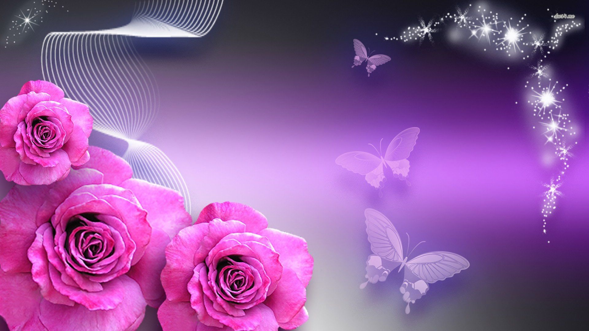 Images Of Purple Roses And Butterflies Wallpapers