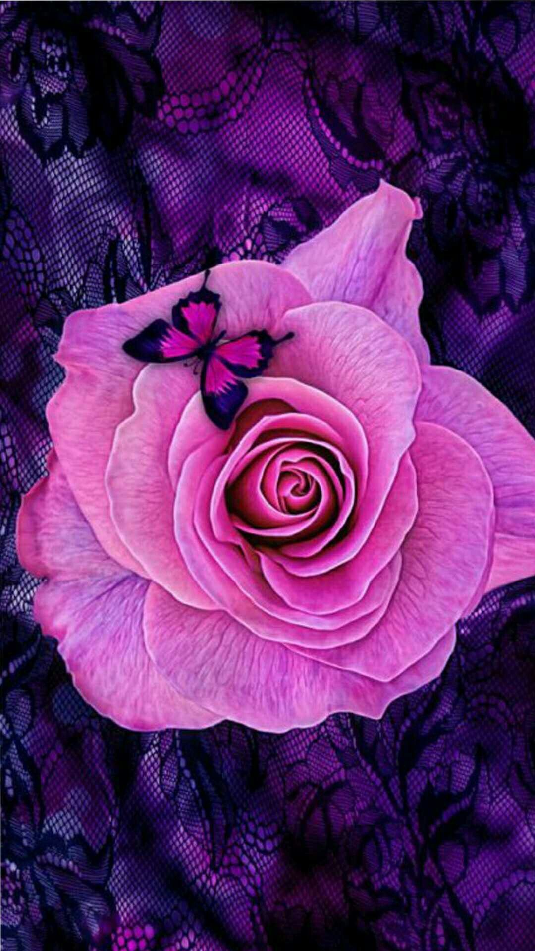 Images Of Purple Roses And Butterflies Wallpapers