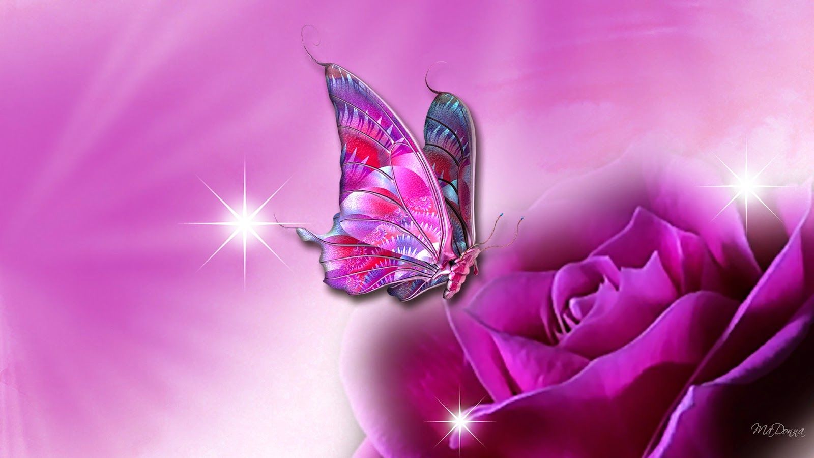 Images Of Purple Roses And Butterflies Wallpapers