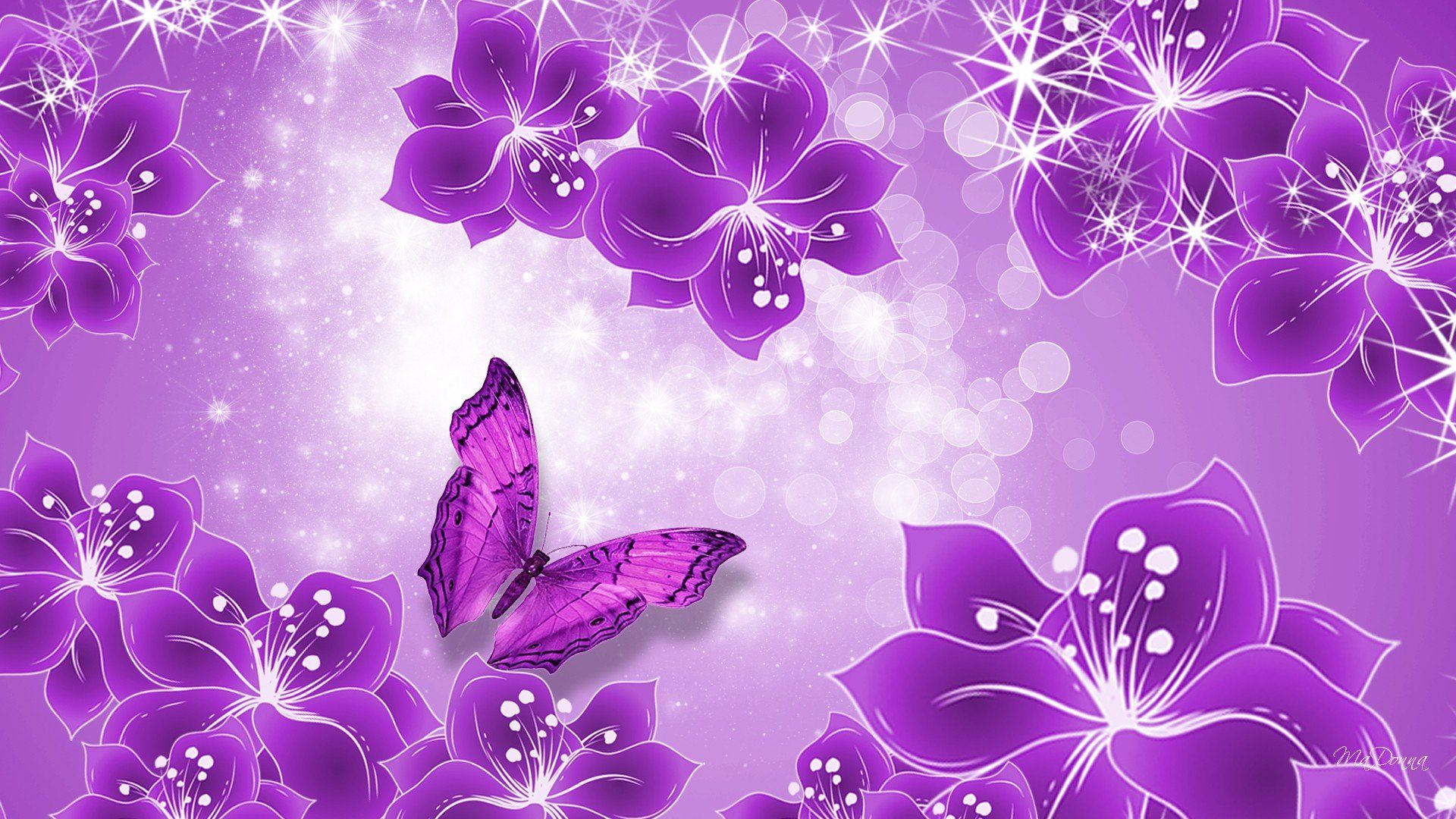 Images Of Purple Roses And Butterflies Wallpapers