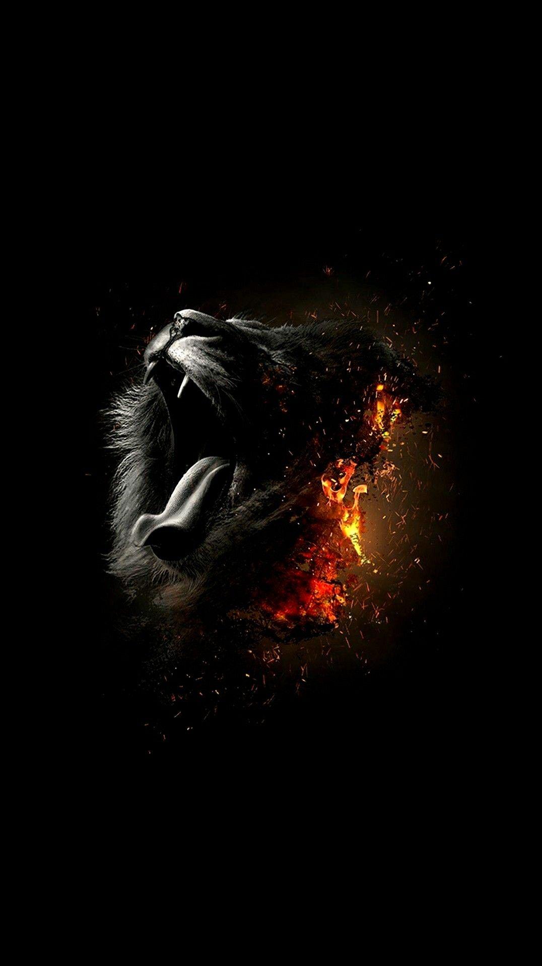 Iphone 7 Black Lion Wallpapers