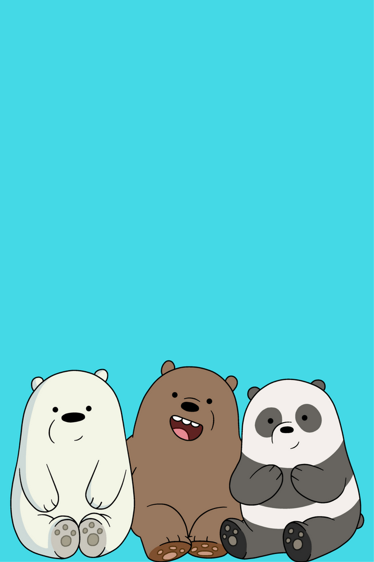 Iphone Bear Wallpapers