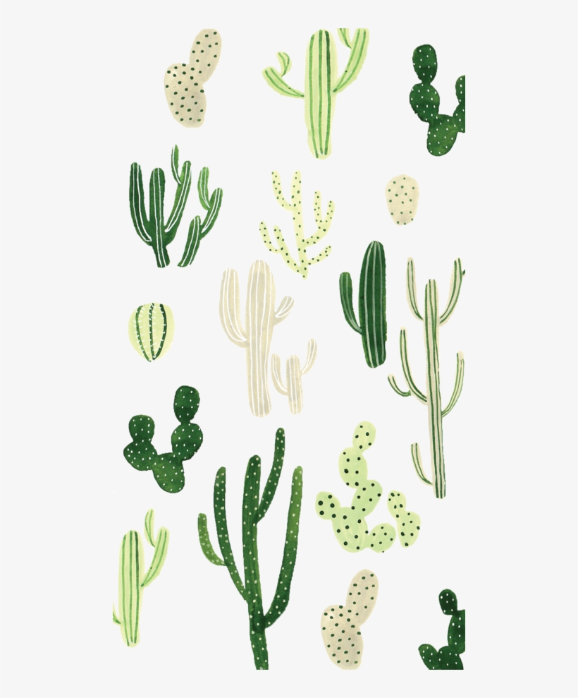 Iphone Cactus Wallpapers