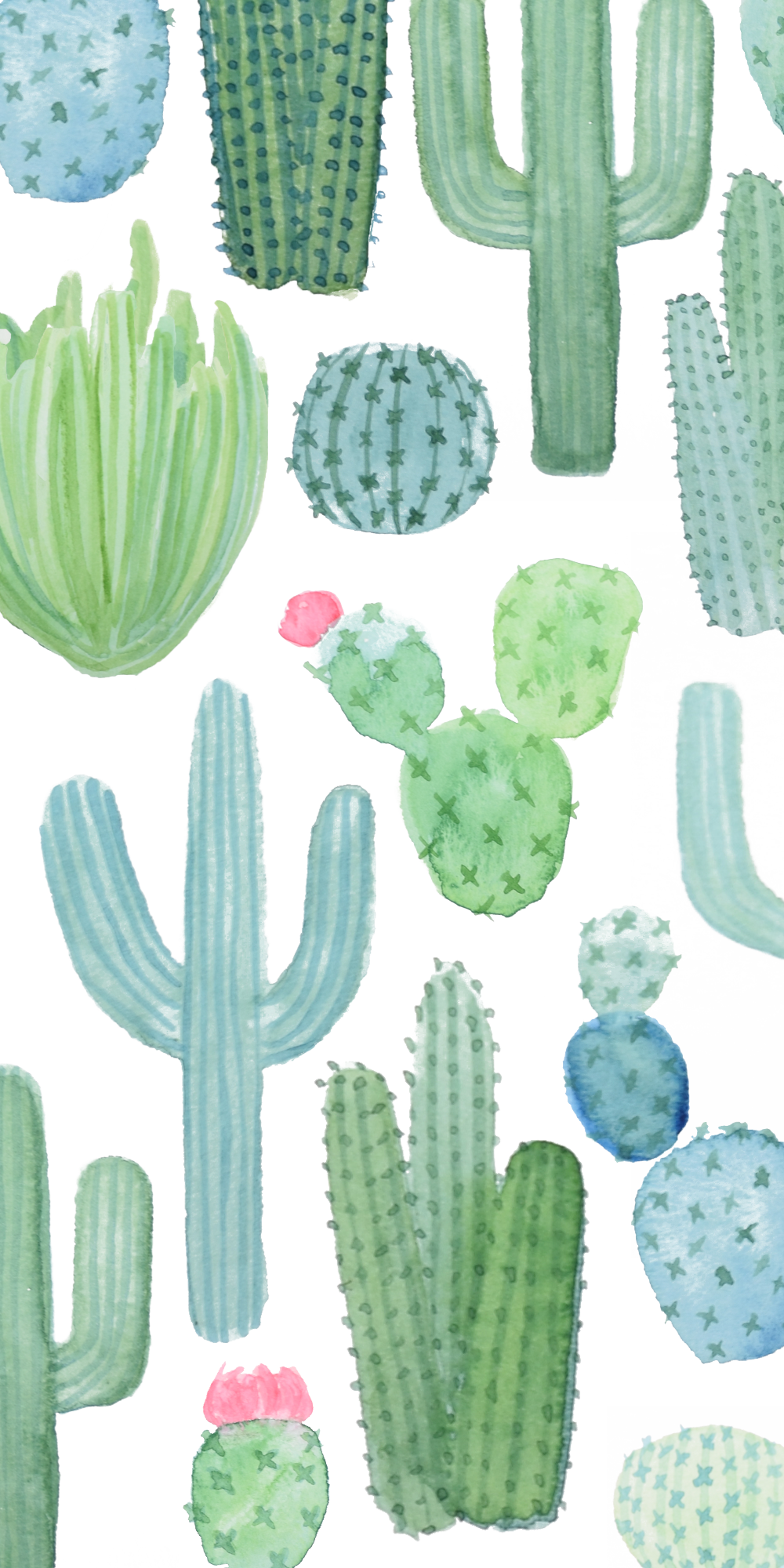 Iphone Cactus Wallpapers