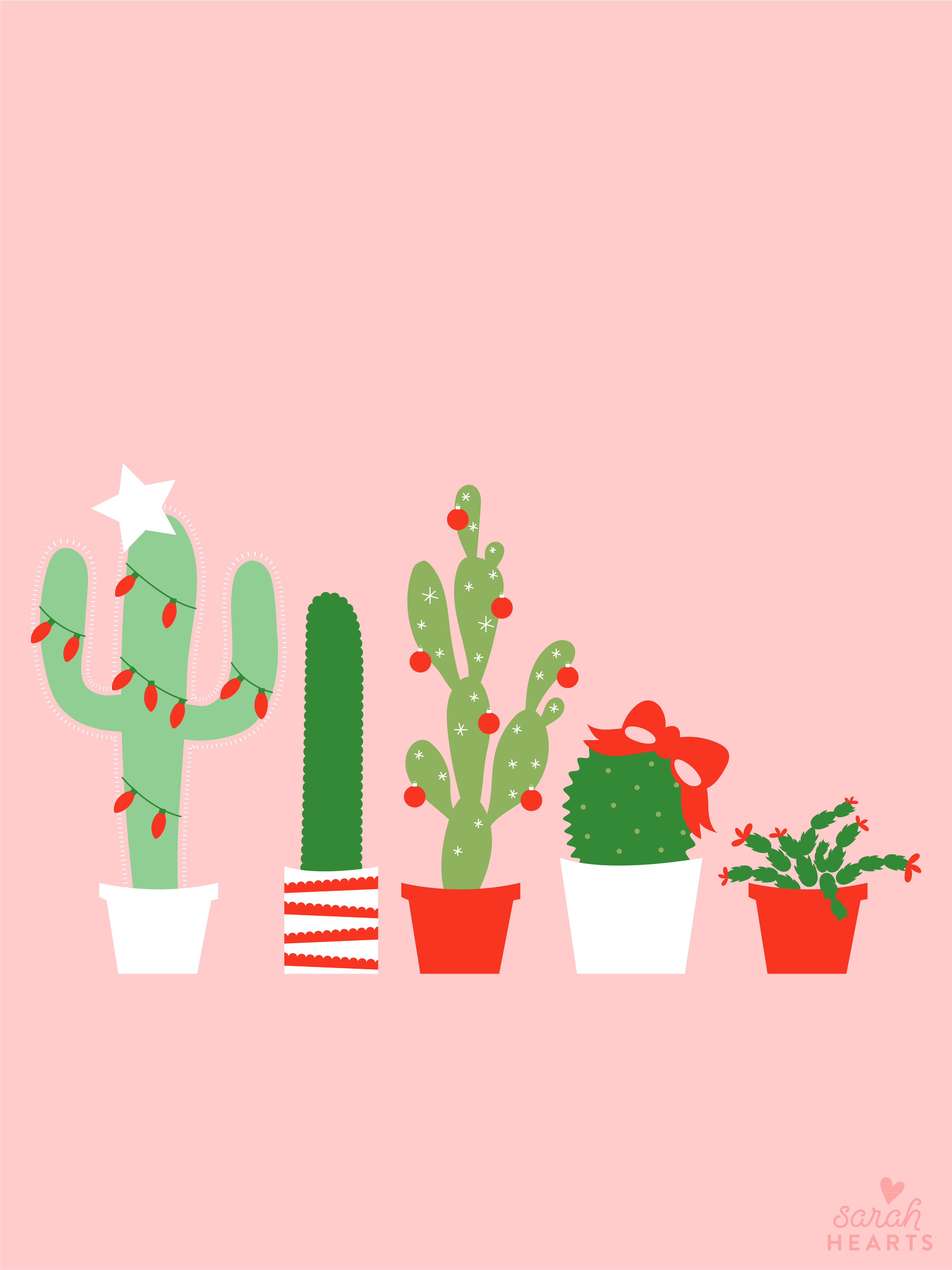 Iphone Cactus Wallpapers