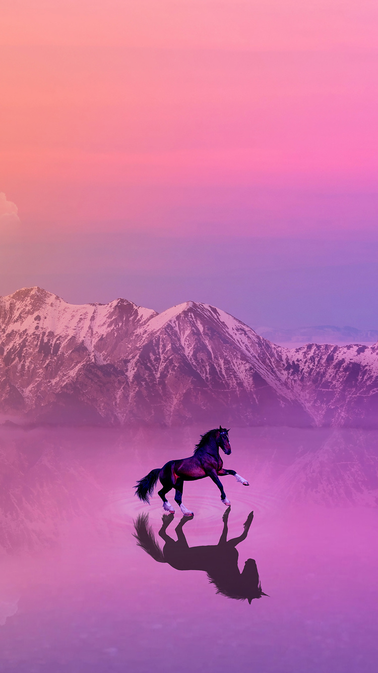 Iphone Horse Wallpapers