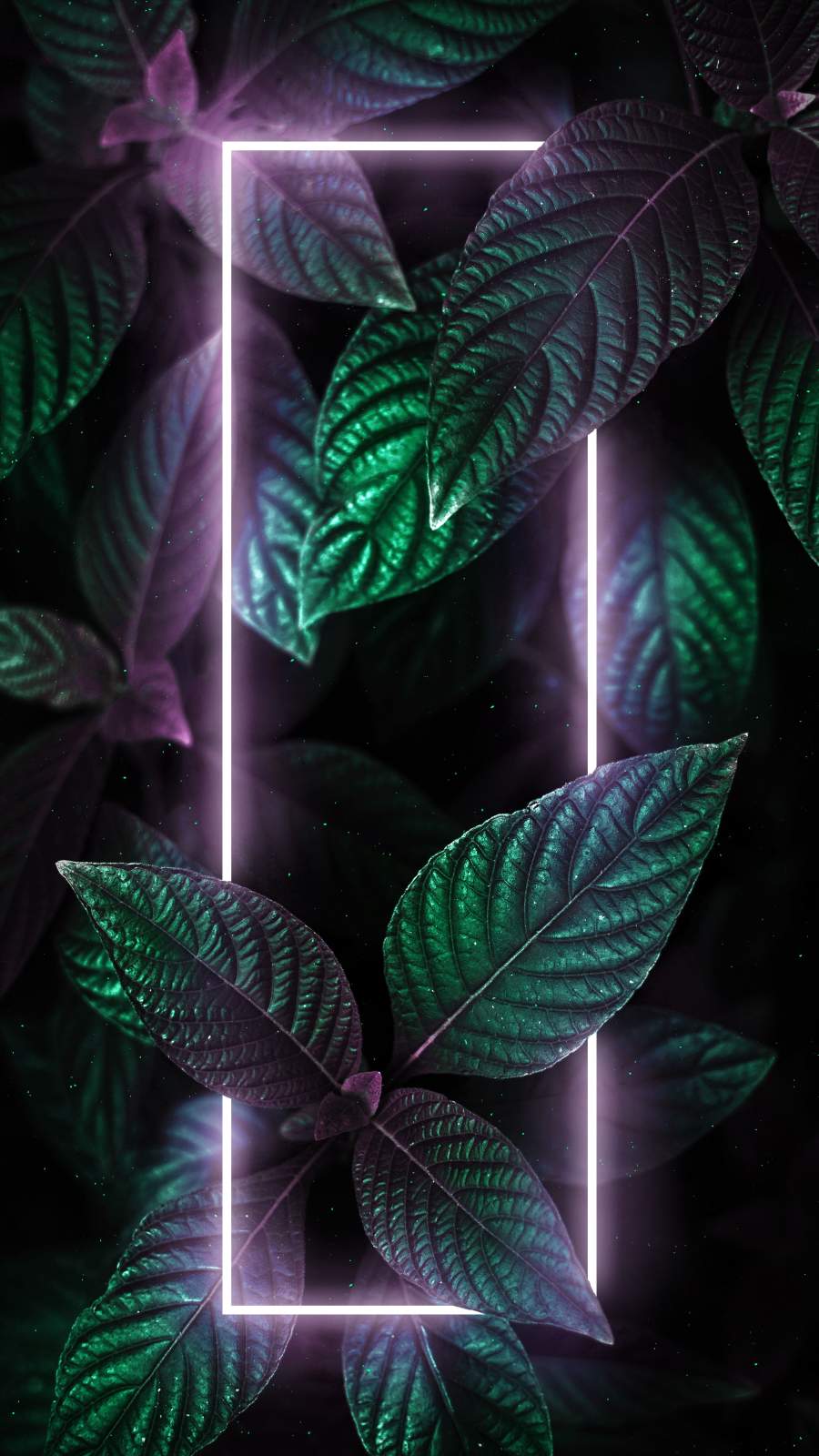 Iphone Light Wallpapers