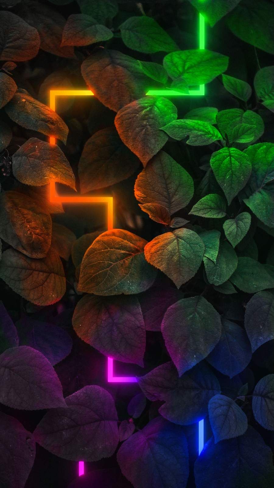 Iphone Light Wallpapers