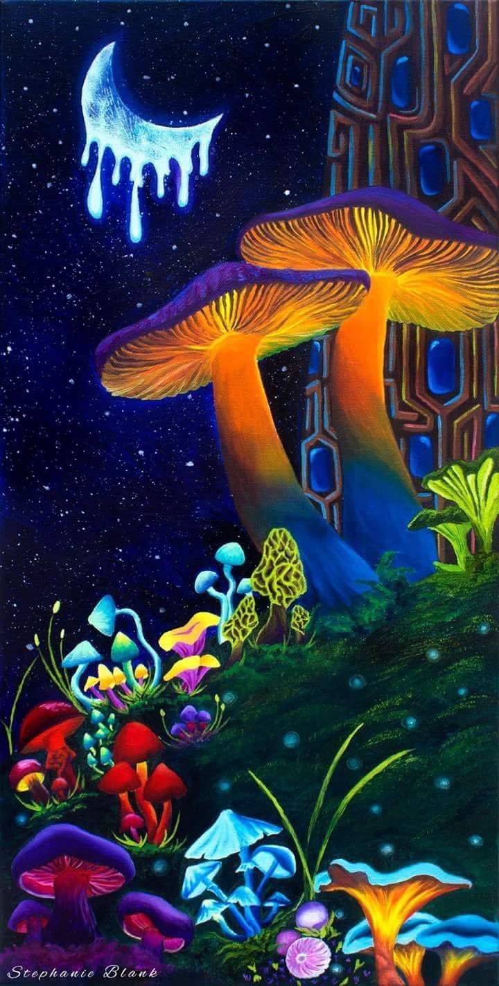 Iphone Mushroom Wallpapers