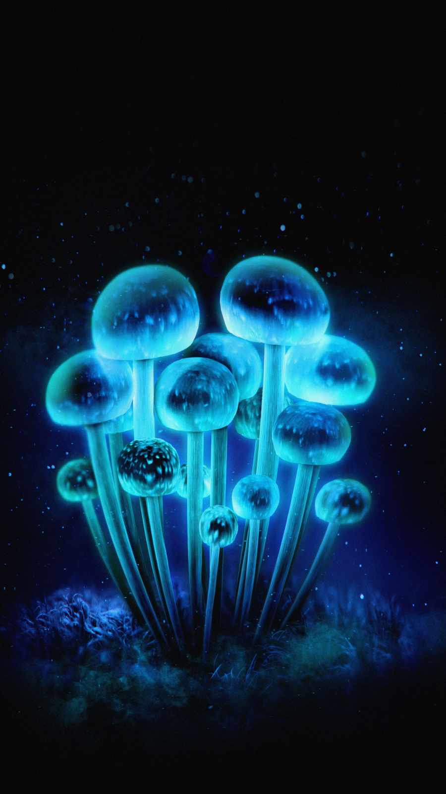 Iphone Mushroom Wallpapers