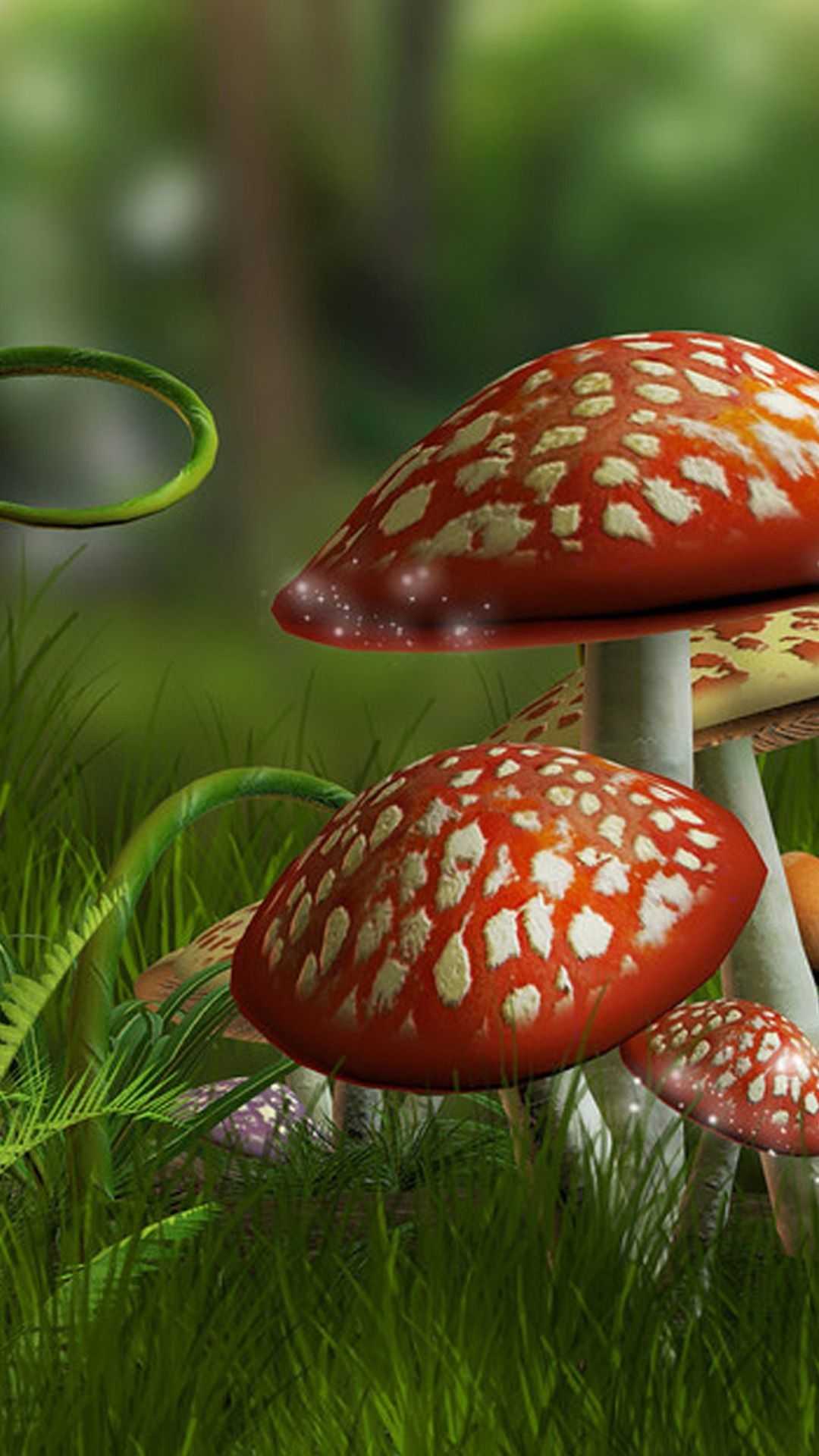 Iphone Mushroom Wallpapers