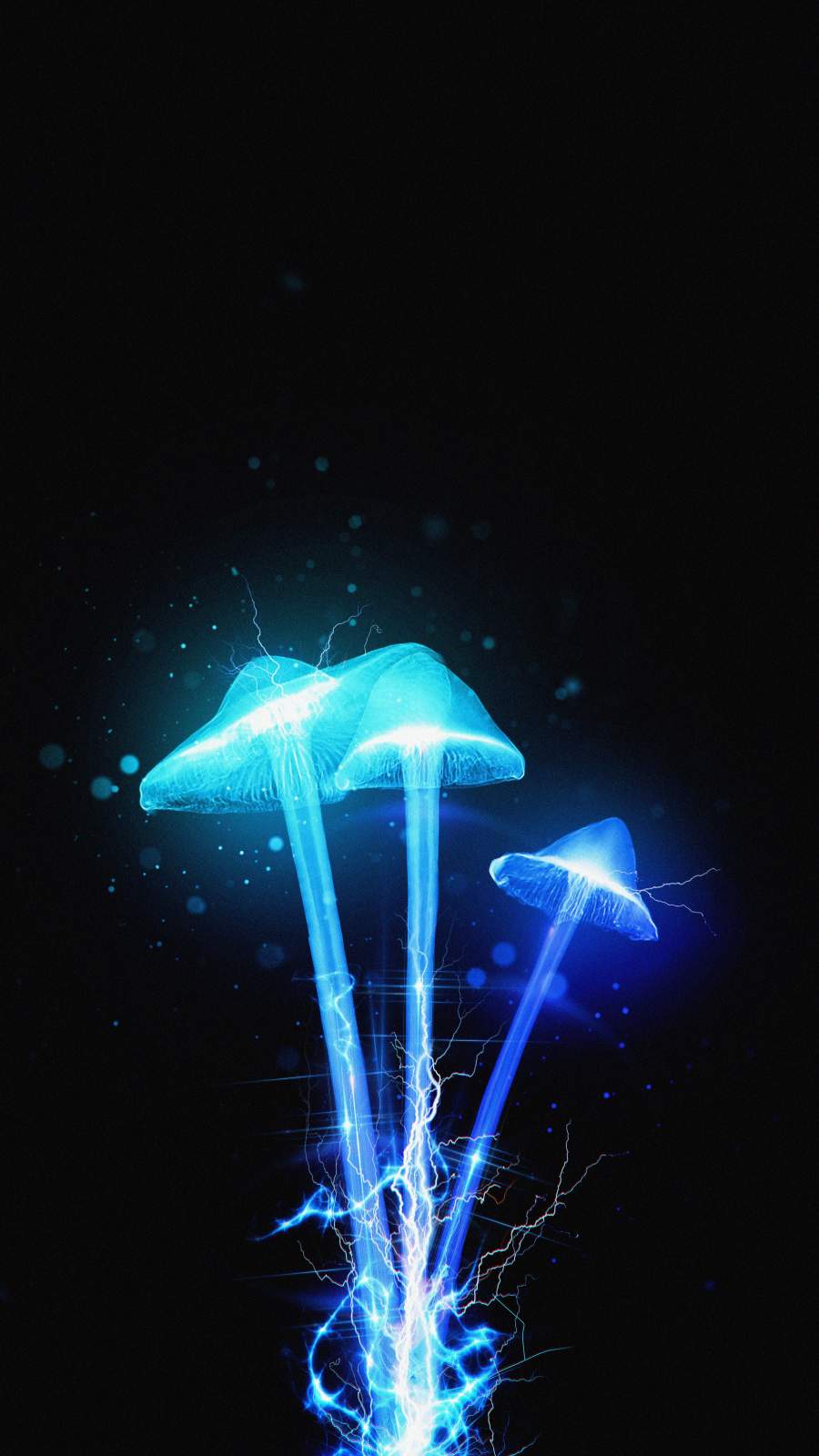 Iphone Mushroom Wallpapers