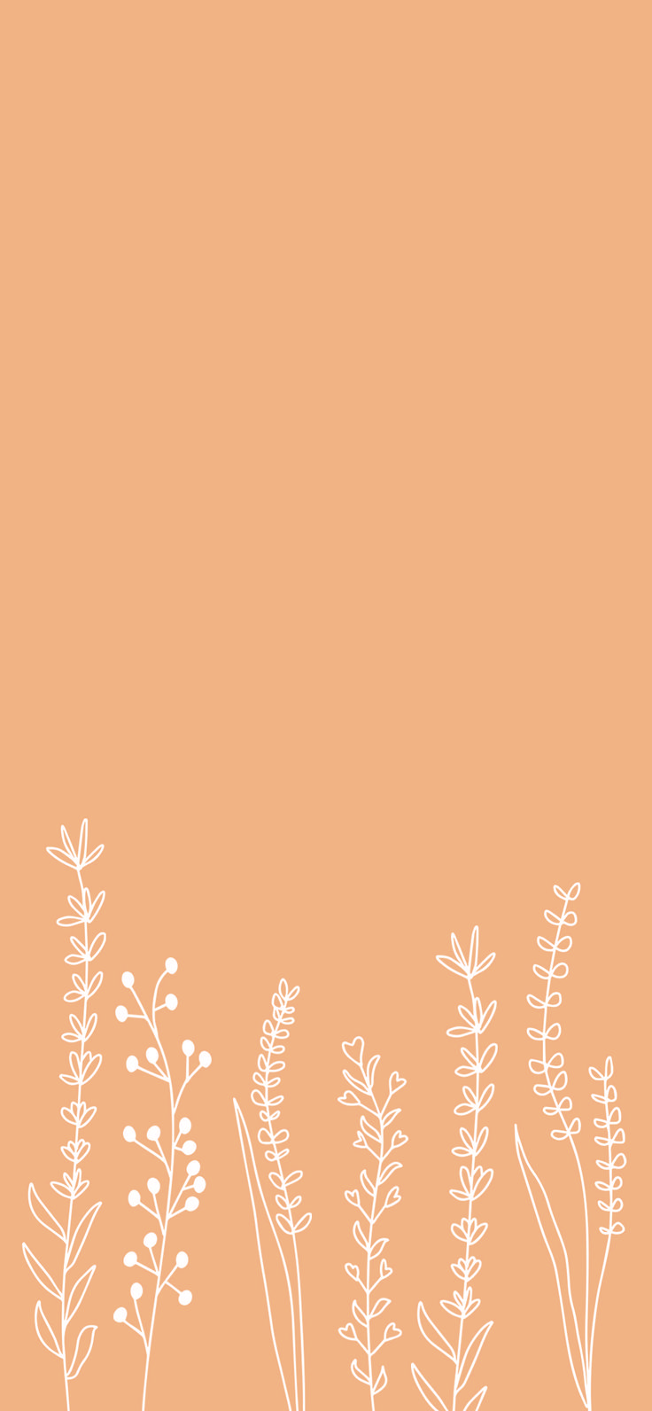 Iphone Plain Wallpapers