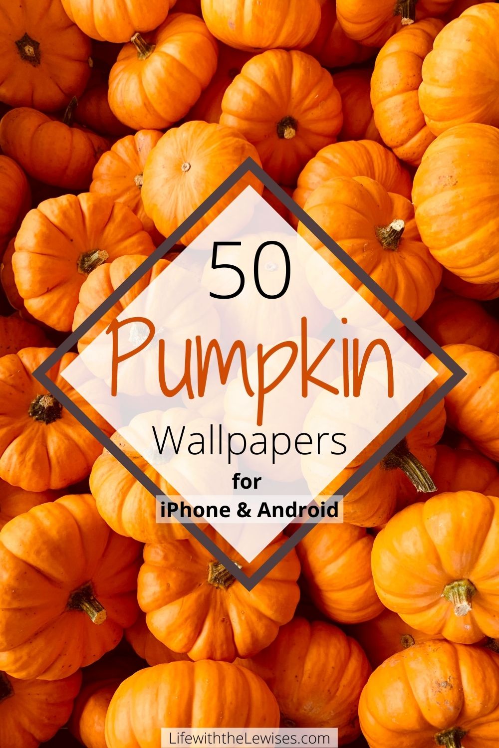 Iphone Pumpkin Wallpapers