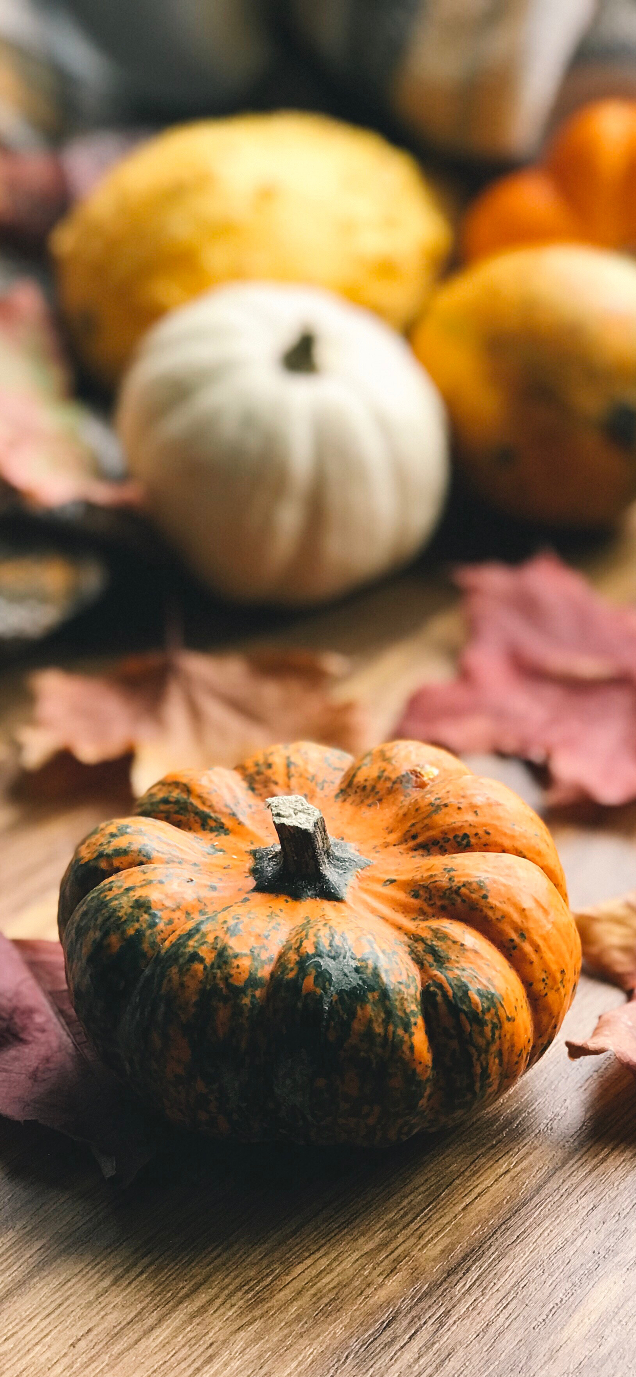 Iphone Pumpkin Wallpapers