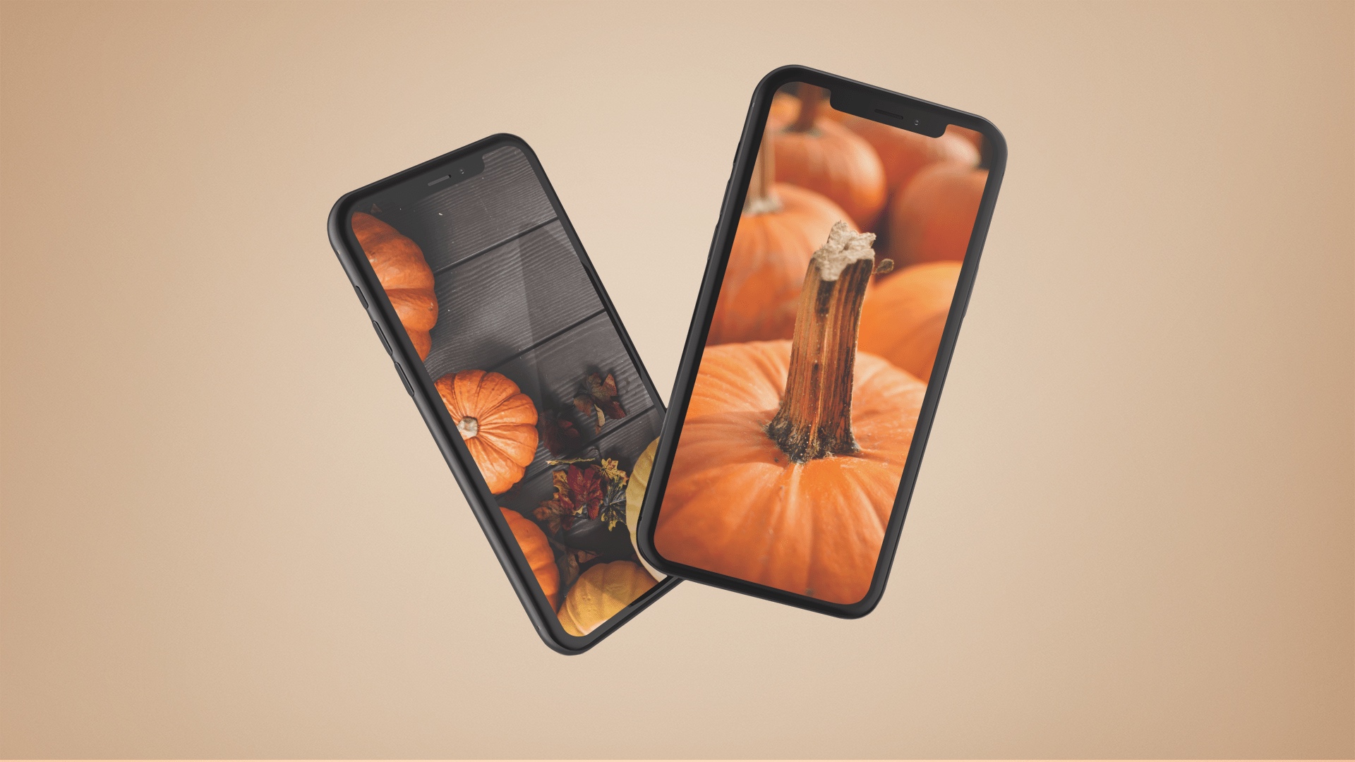 Iphone Pumpkin Wallpapers