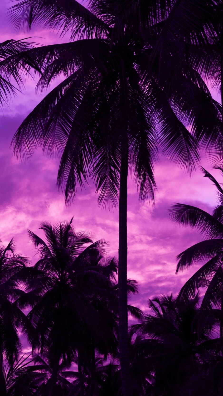 Iphone Purple Sunset Wallpapers