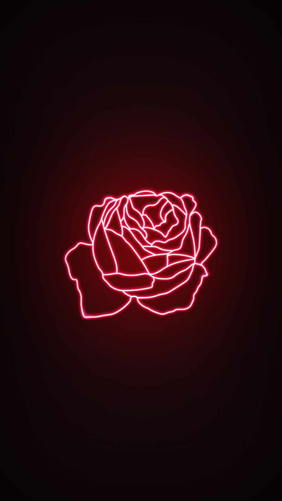 Iphone Rose Wallpapers