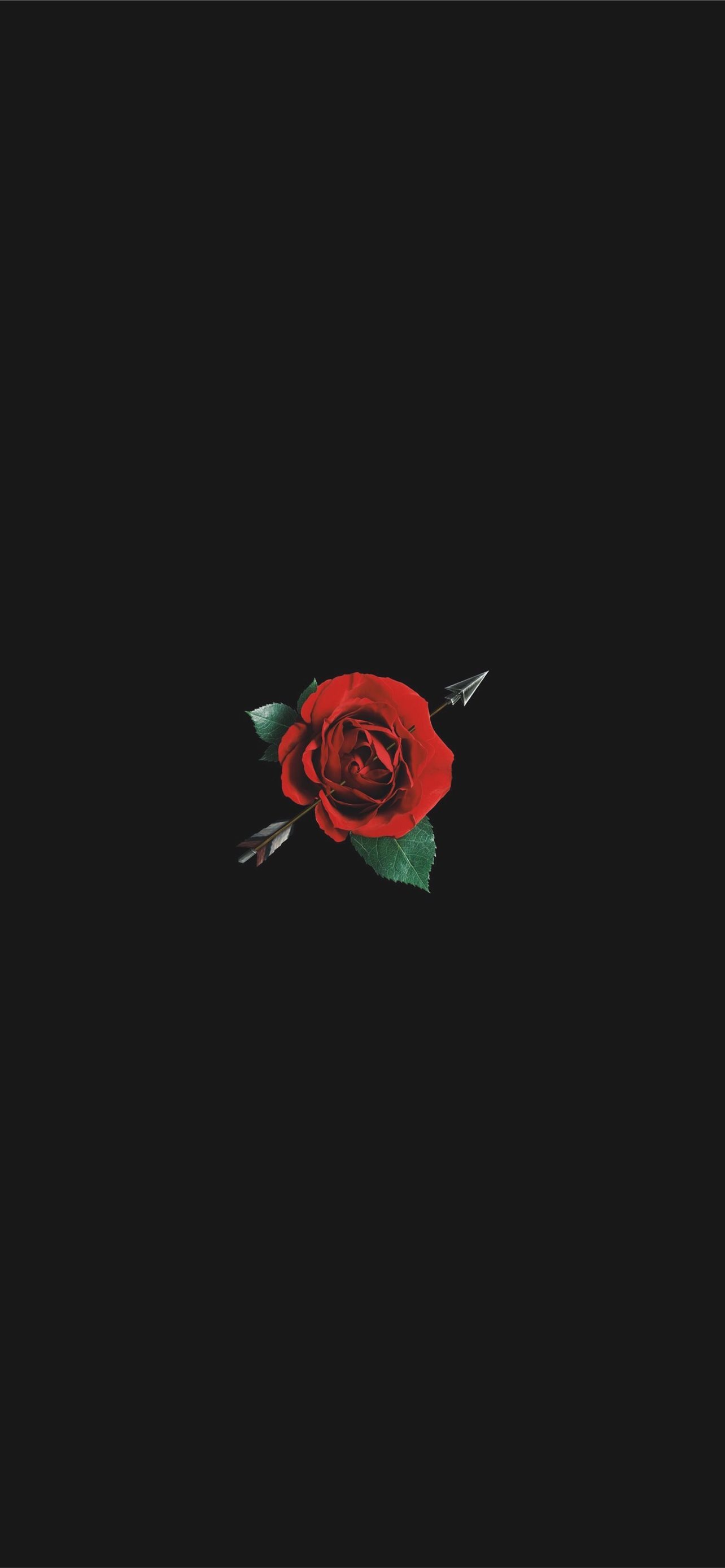 Iphone Rose Wallpapers