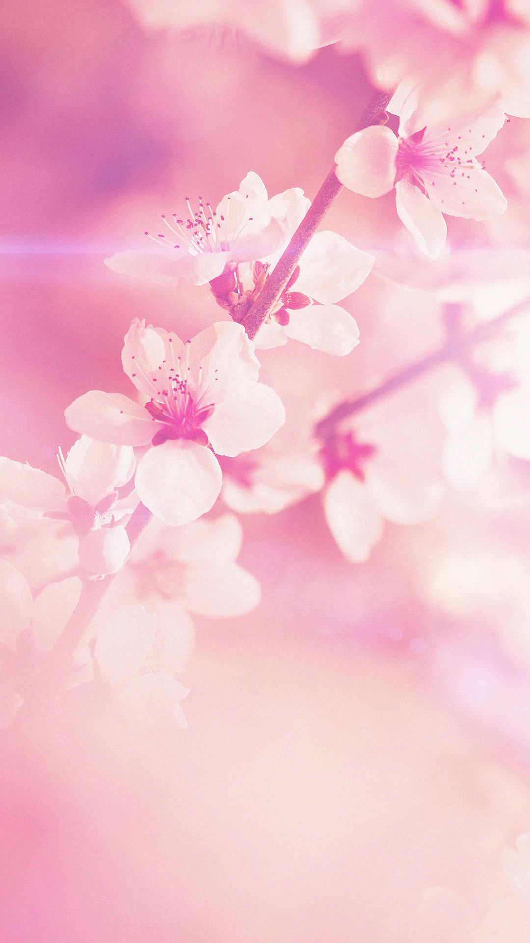 Iphone Spring Wallpapers