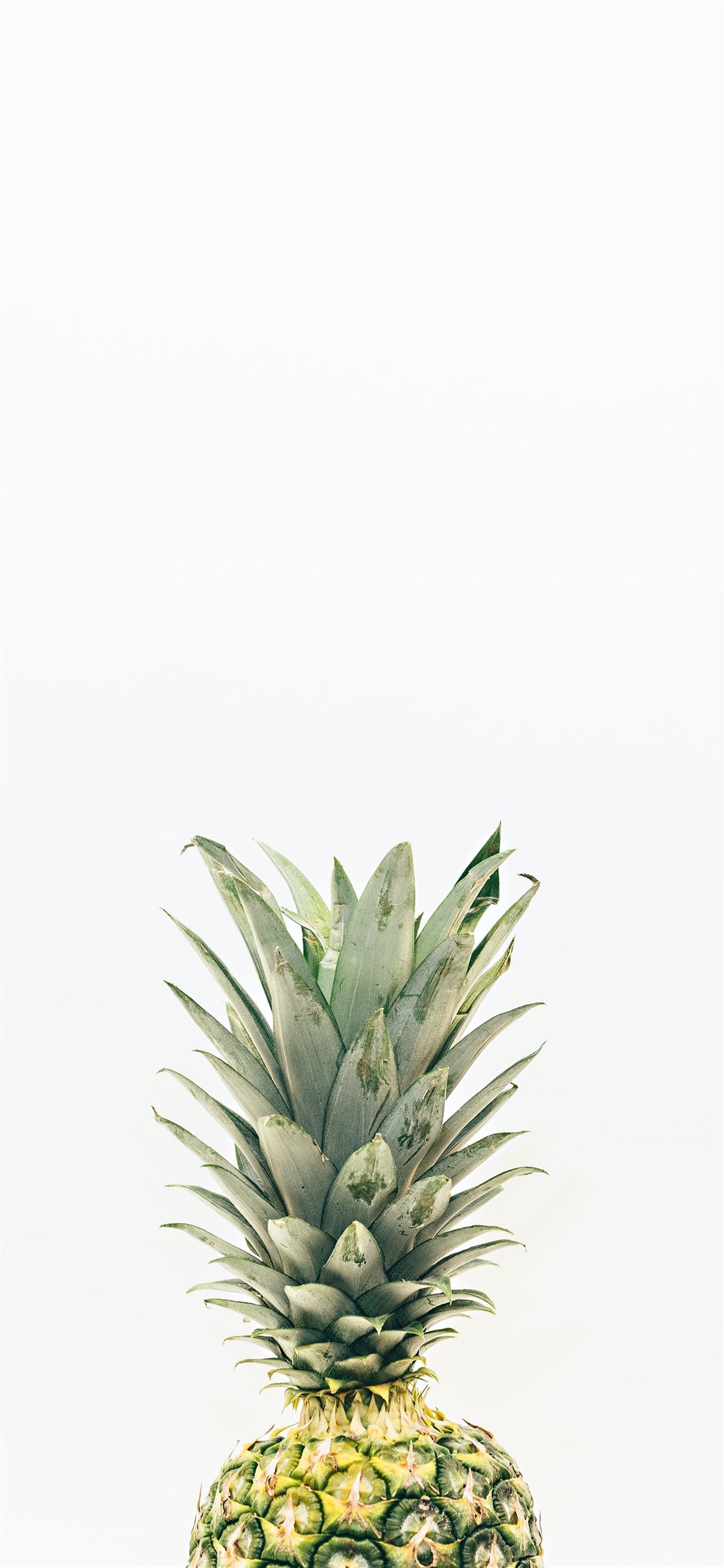 Iphone Pineapple Wallpapers