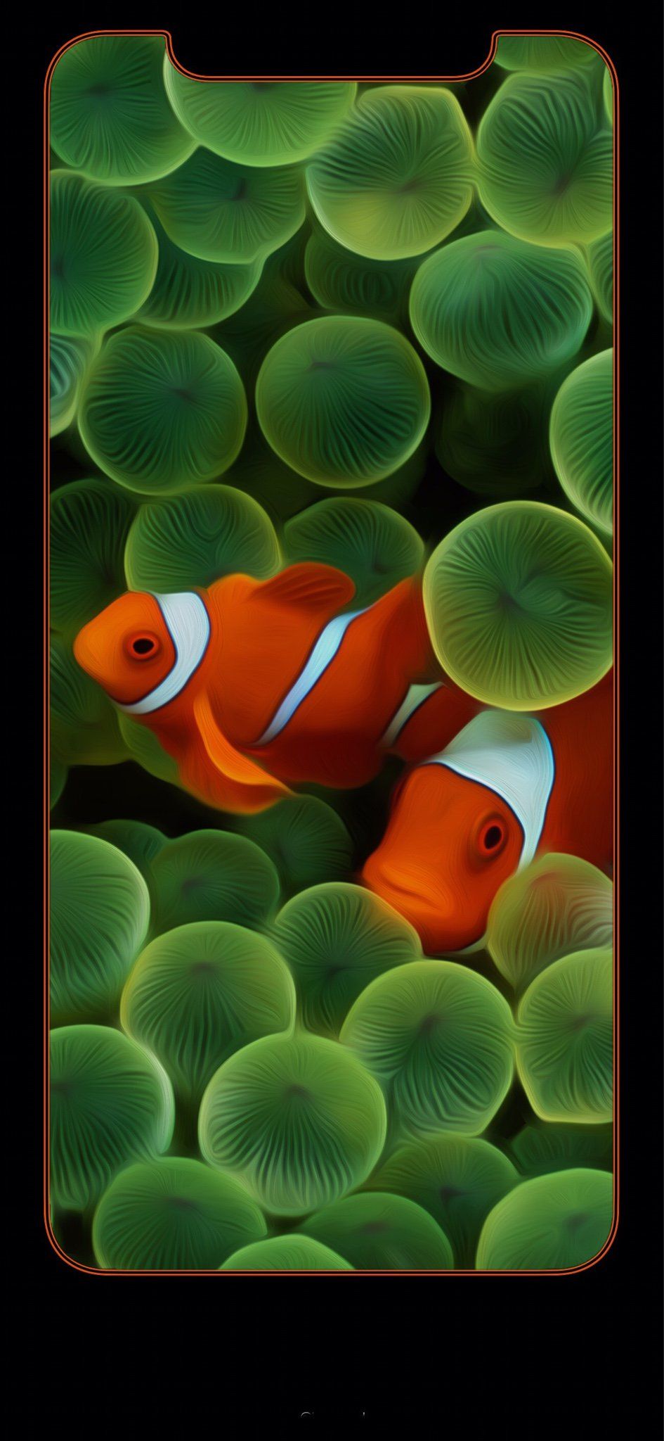 Iphone X Fish Wallpapers