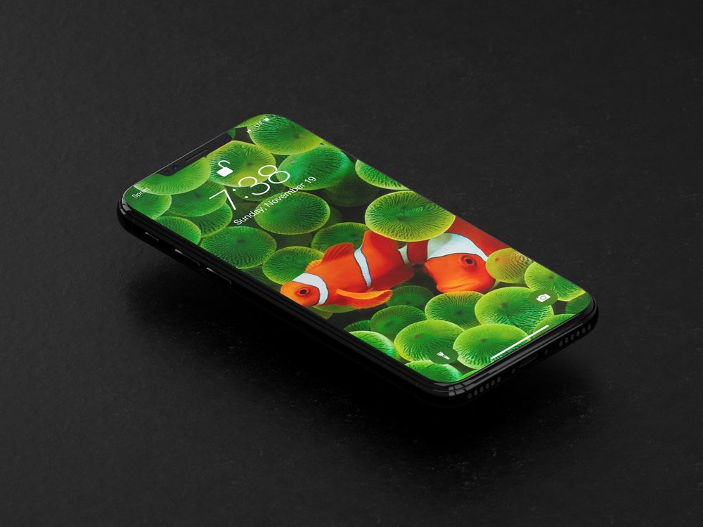 Iphone X Fish Wallpapers