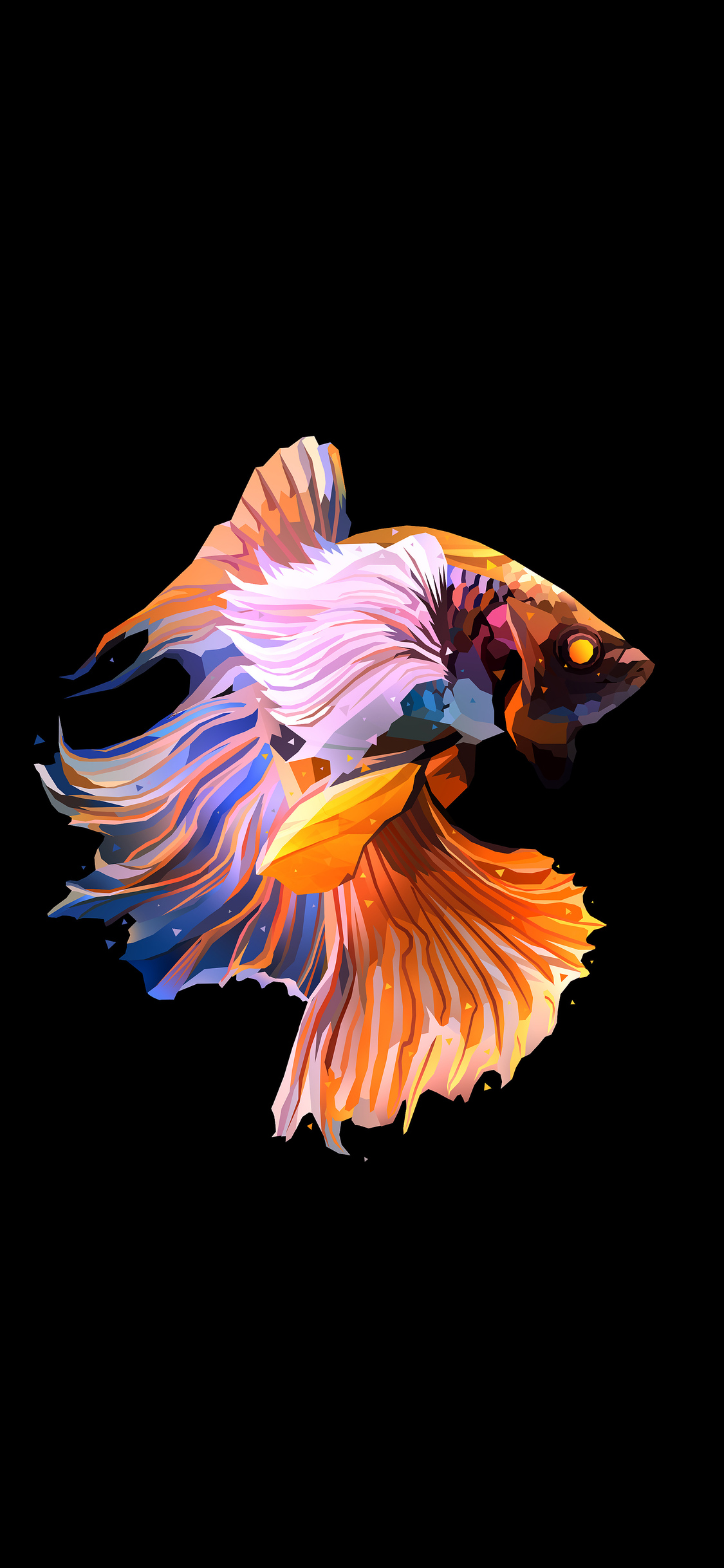 Iphone X Fish Wallpapers