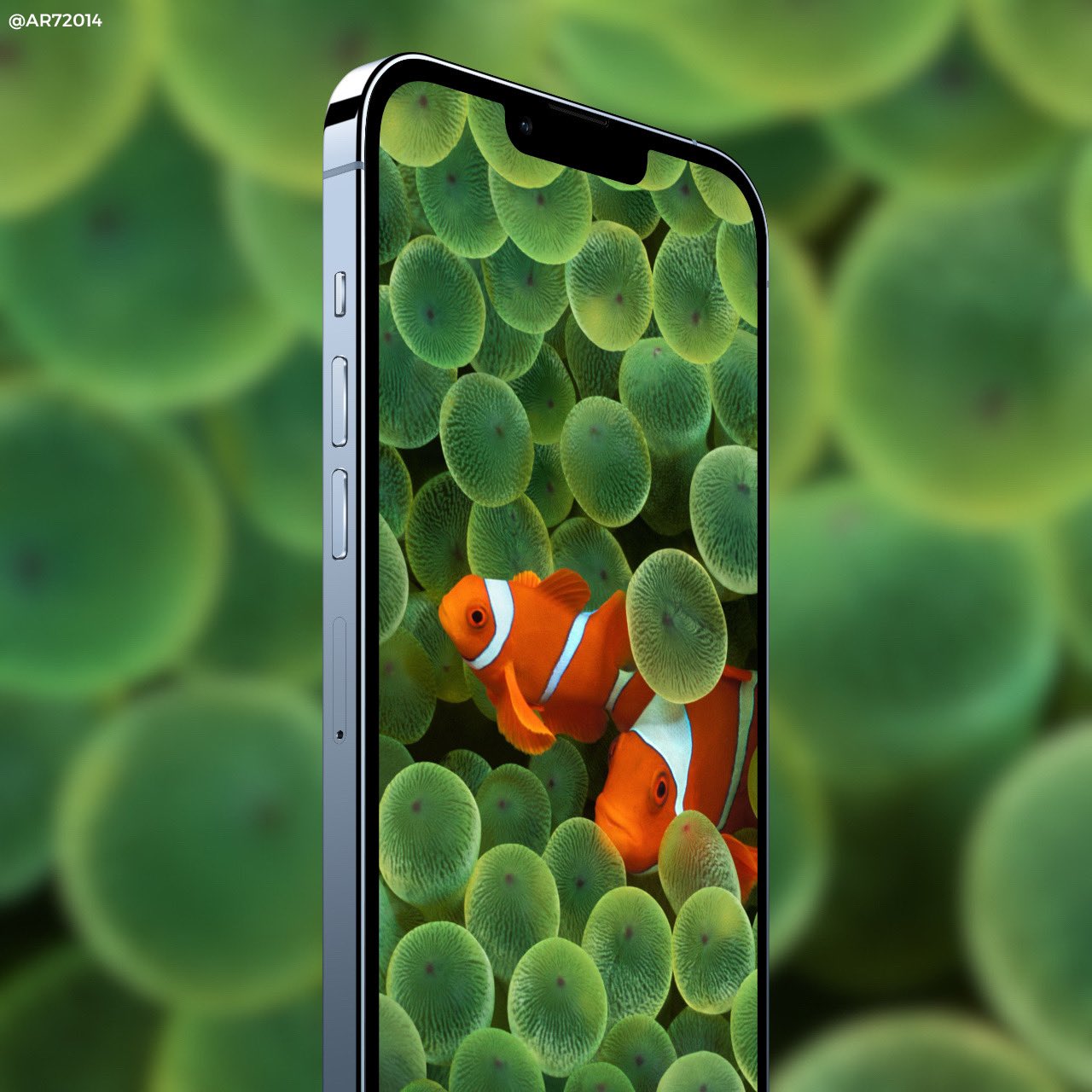 Iphone X Fish Wallpapers