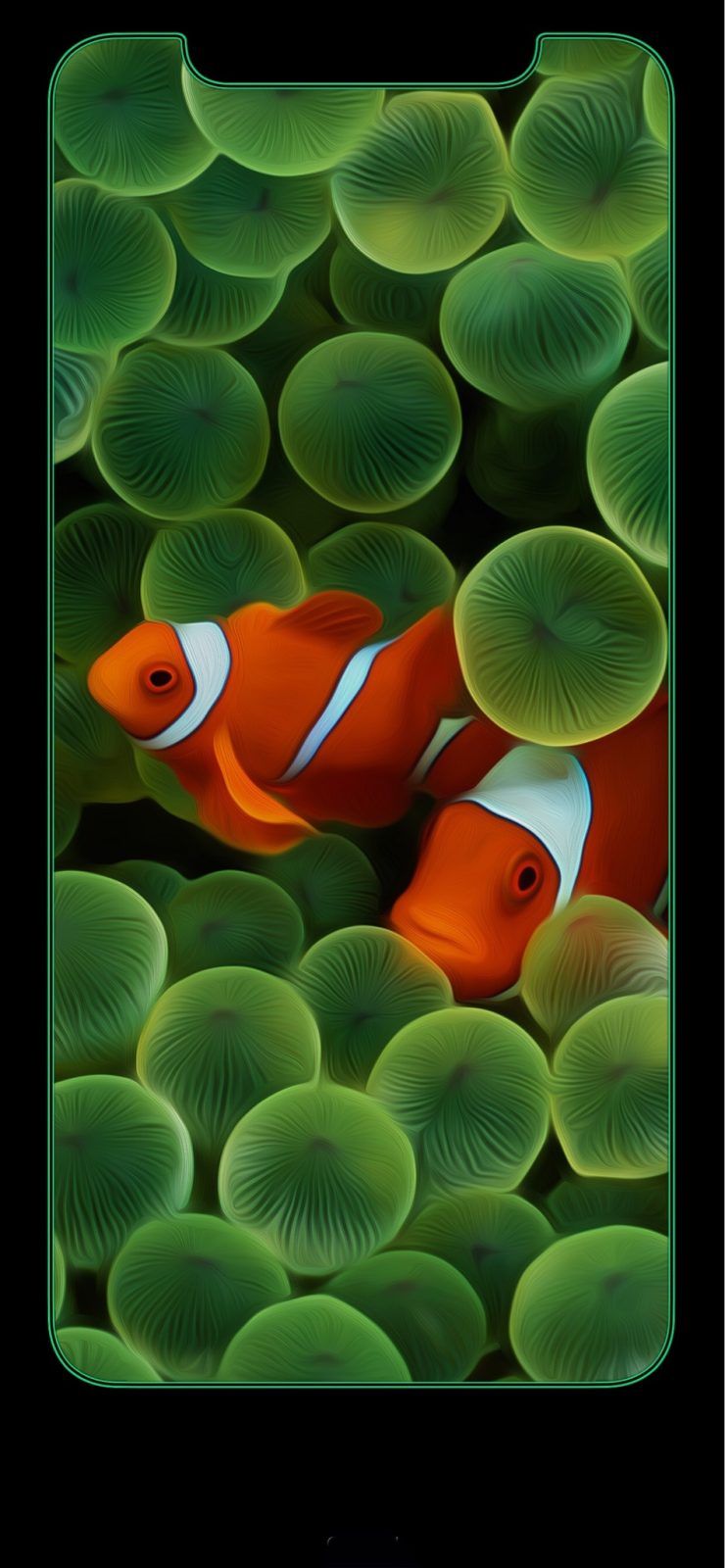 Iphone Xs Max Fish Wallpapers