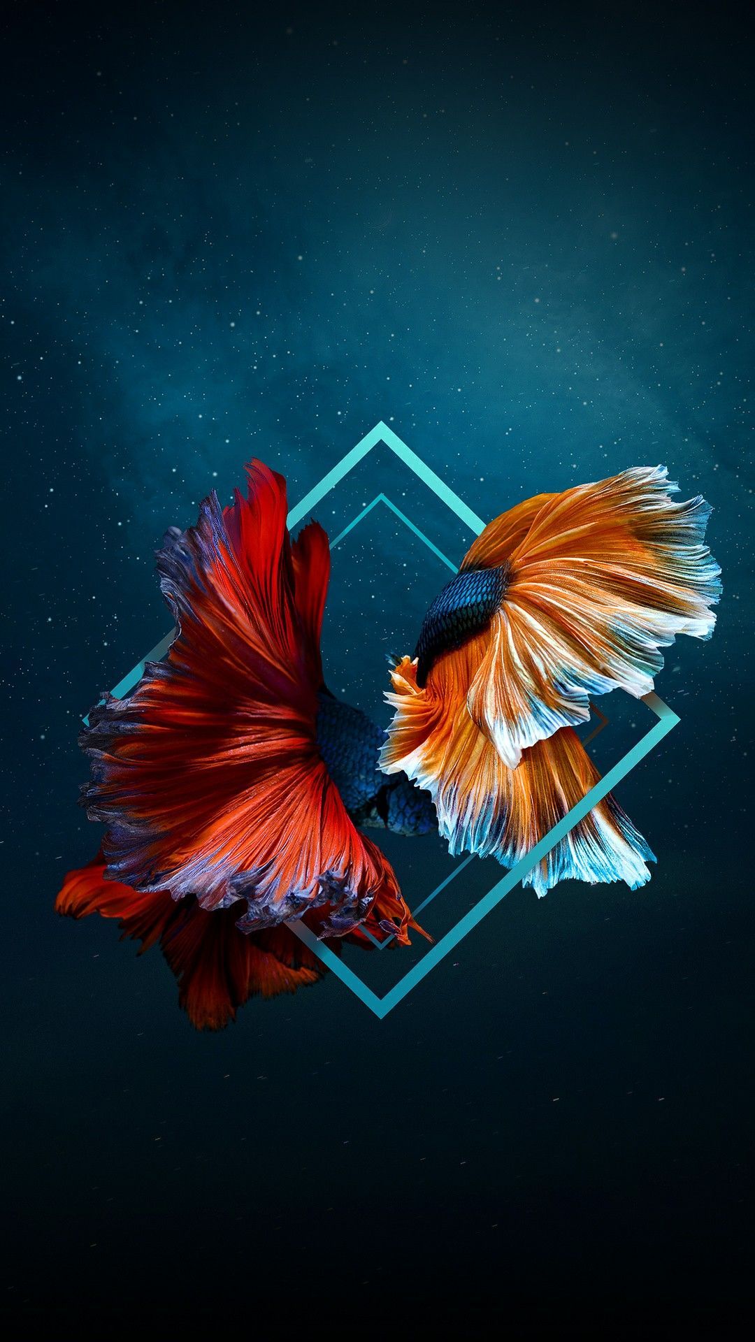 Iphone Xs Max Fish Wallpapers