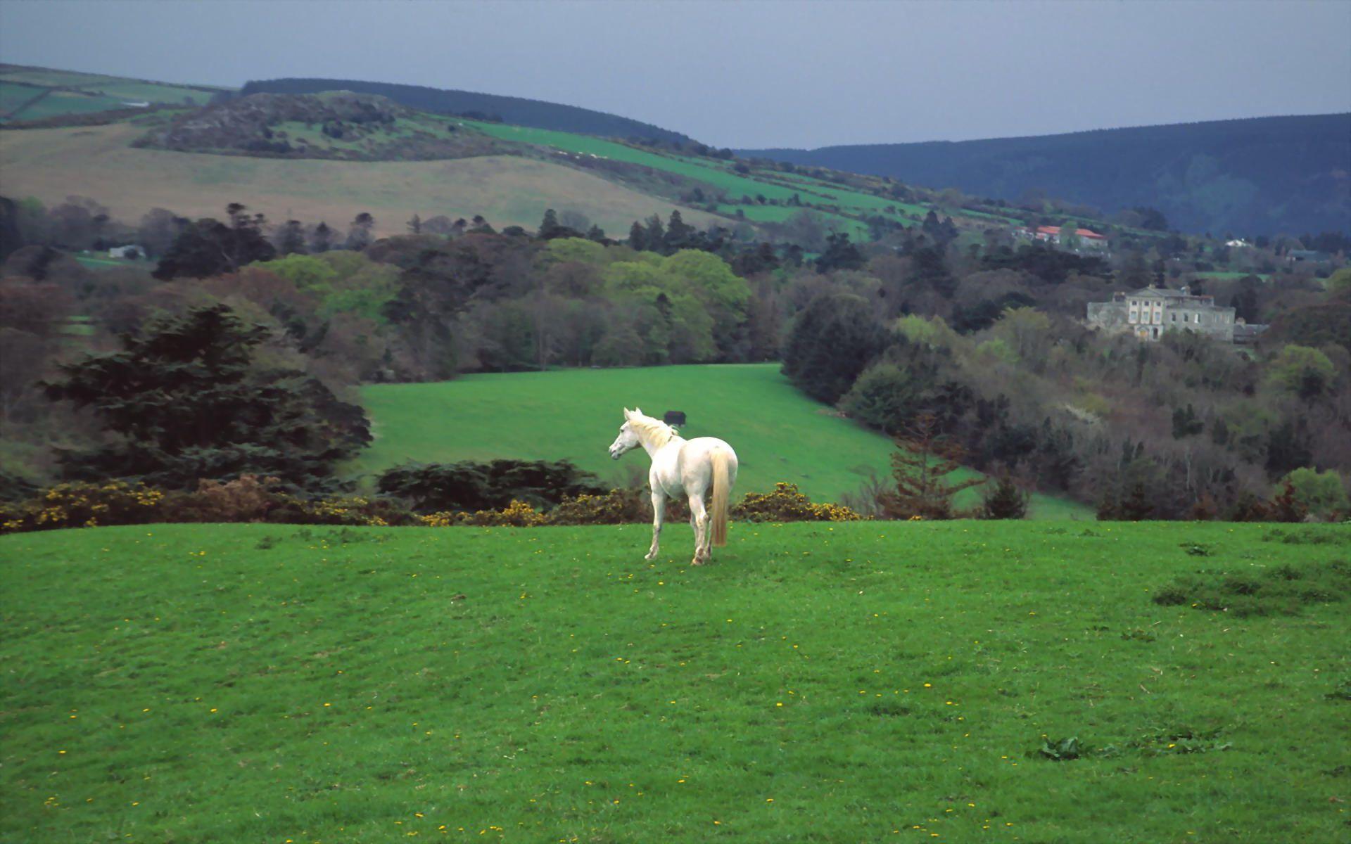 Irish Countryside Wallpapers